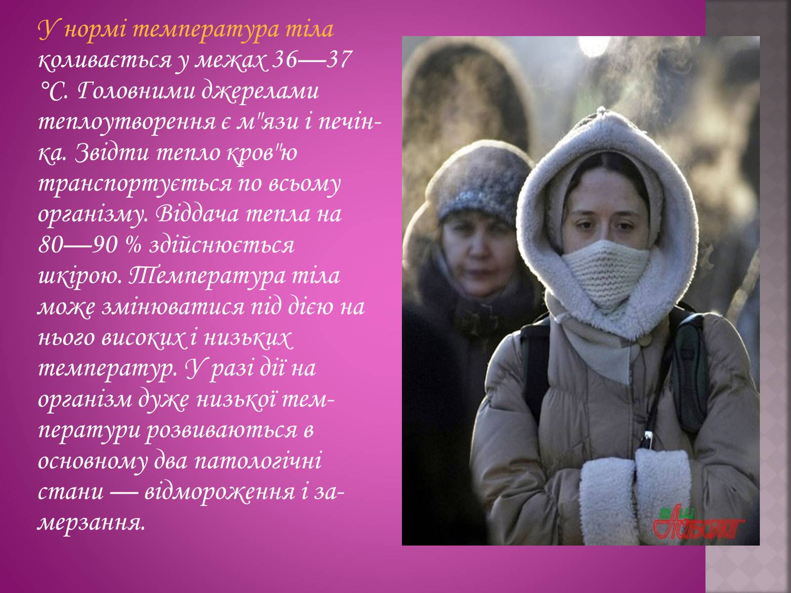 Презентація на тему «Обмороження у людини» - Слайд #7 Презентація на тему «Обмороження у людини» - Слайд #7