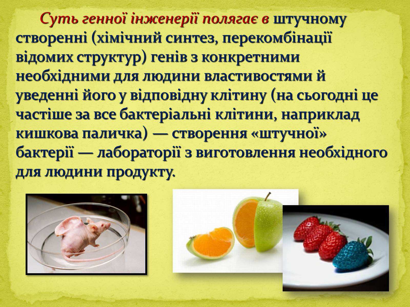 Презентація на тему «Напрямки сучасної біотехнології» - Слайд #7 Презентація на тему «Напрямки сучасної біотехнології» - Слайд #7