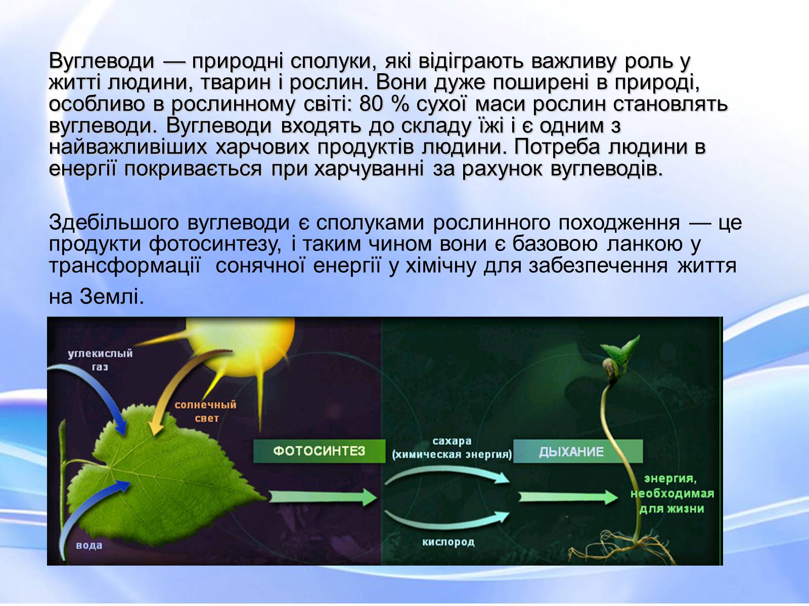 Презентація на тему «Вуглеводи як компоненти їжі, їх роль у житті людини» (варіант 18) - Слайд #2 Презентація на тему «Вуглеводи як компоненти їжі, їх роль у житті людини» (варіант 18) - Слайд #2