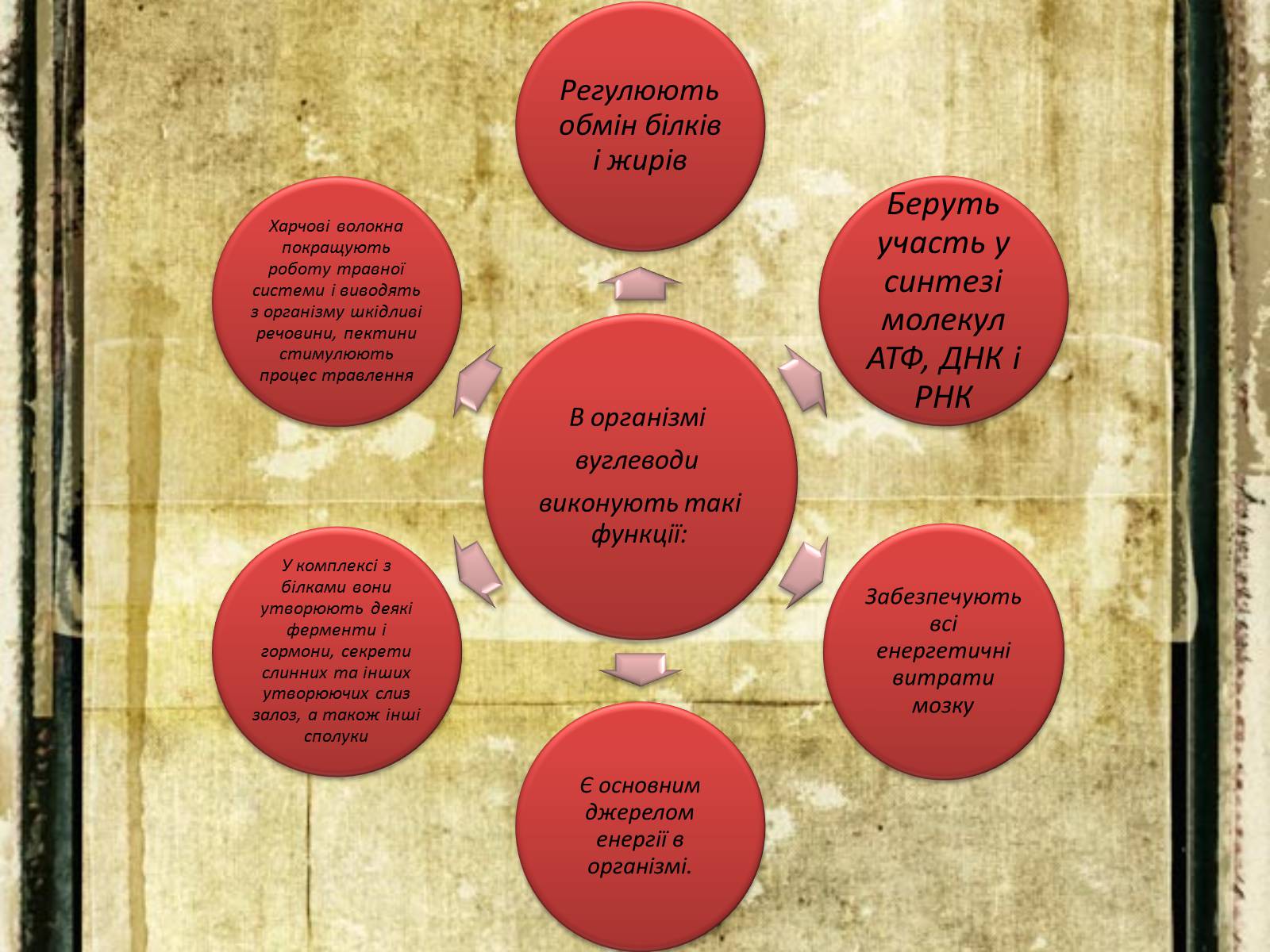 Презентація на тему «Вуглеводи як компоненти їжі, їх роль у житті людини» (варіант 30) - Слайд #8 Презентація на тему «Вуглеводи як компоненти їжі, їх роль у житті людини» (варіант 30) - Слайд #8