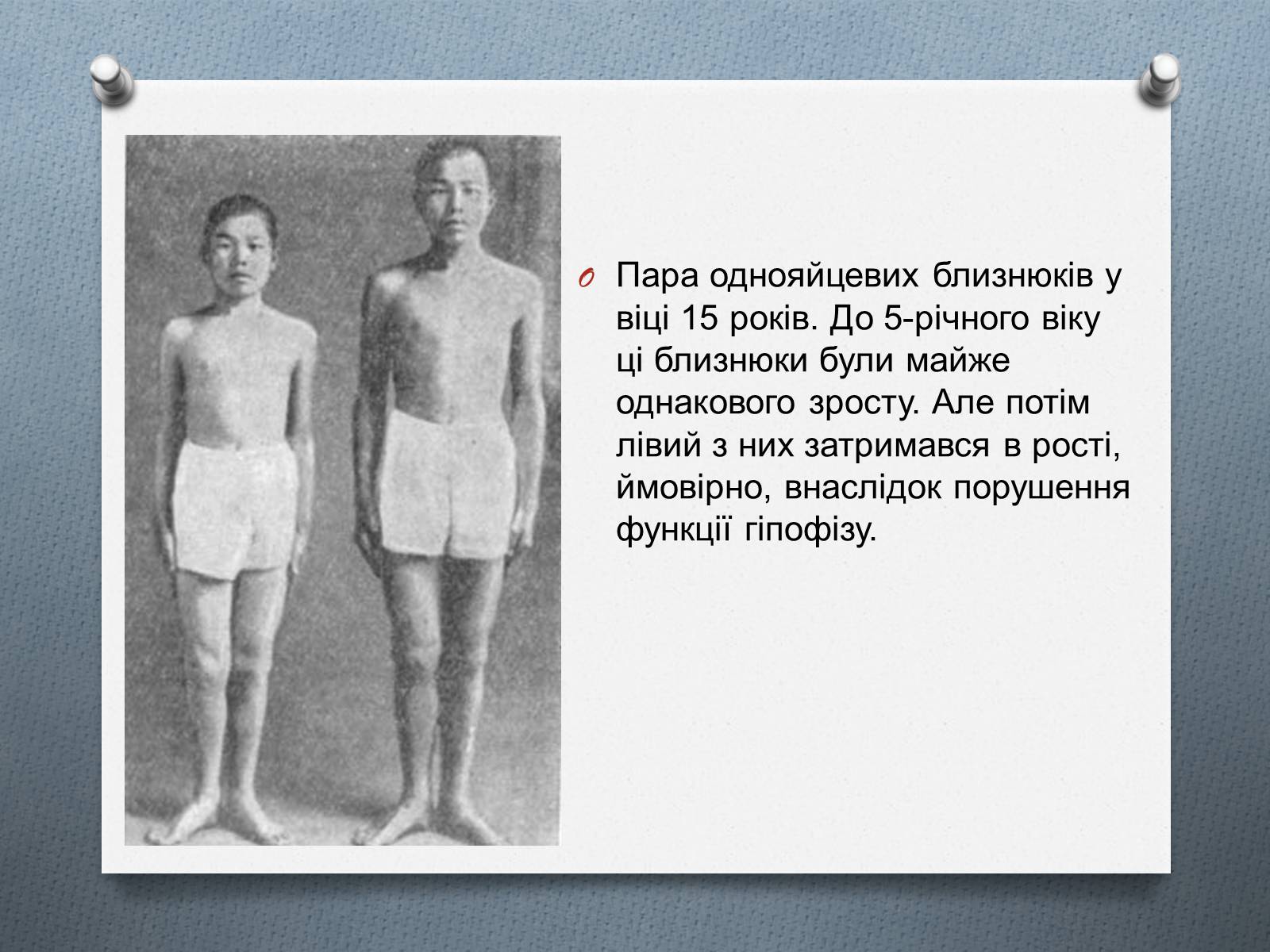 Презентація на тему «Фенотипи організмів» - Слайд #11 Презентація на тему «Фенотипи організмів» - Слайд #11