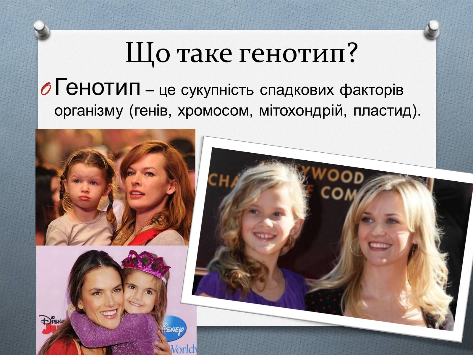 Презентація на тему «Фенотипи організмів» - Слайд #2 Презентація на тему «Фенотипи організмів» - Слайд #2