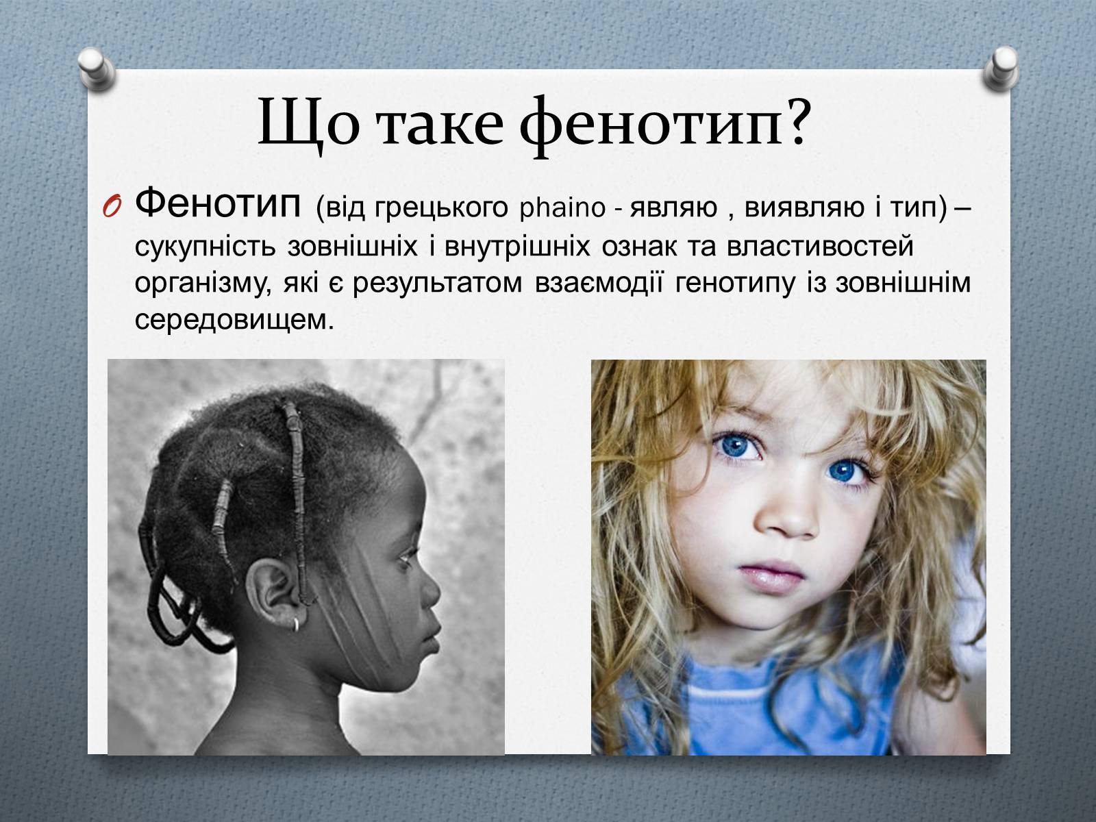 Презентація на тему «Фенотипи організмів» - Слайд #3 Презентація на тему «Фенотипи організмів» - Слайд #3