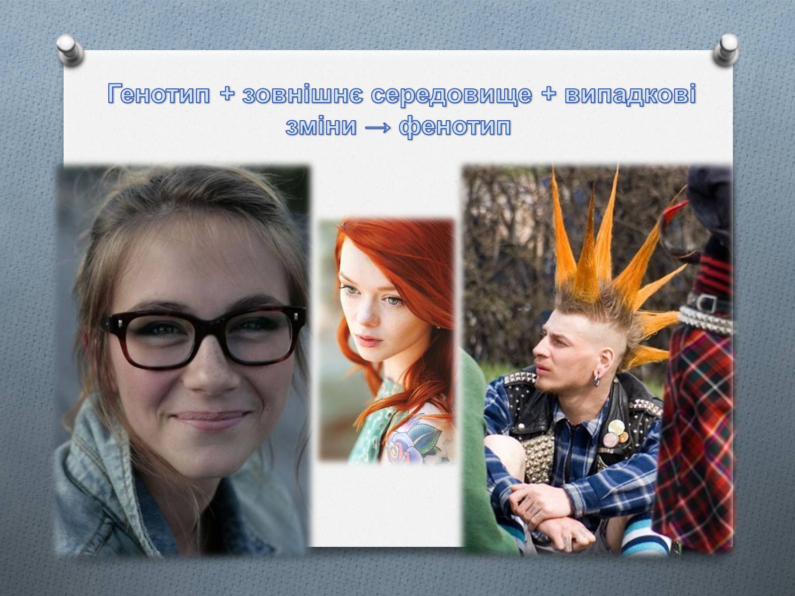 Презентація на тему «Фенотипи організмів» - Слайд #6 Презентація на тему «Фенотипи організмів» - Слайд #6
