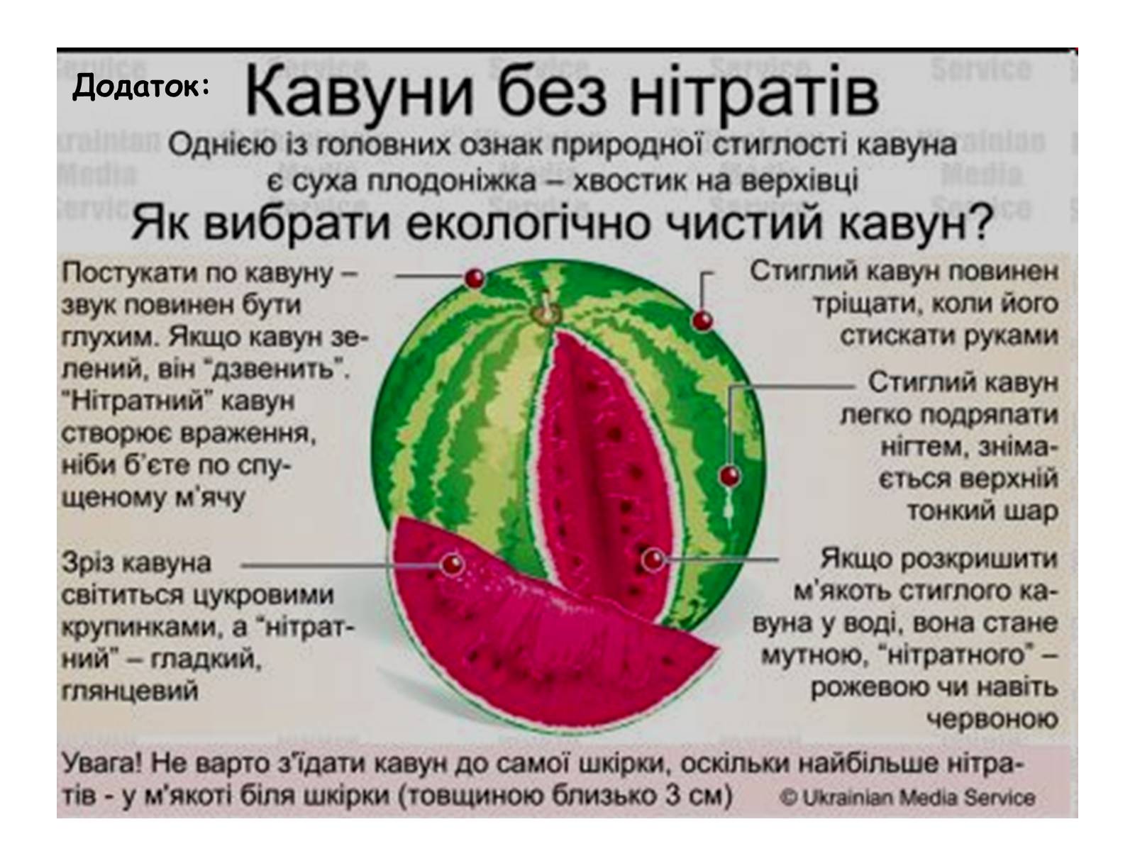 Презентація на тему «Отруєння нітратами» - Слайд #12 Презентація на тему «Отруєння нітратами» - Слайд #12