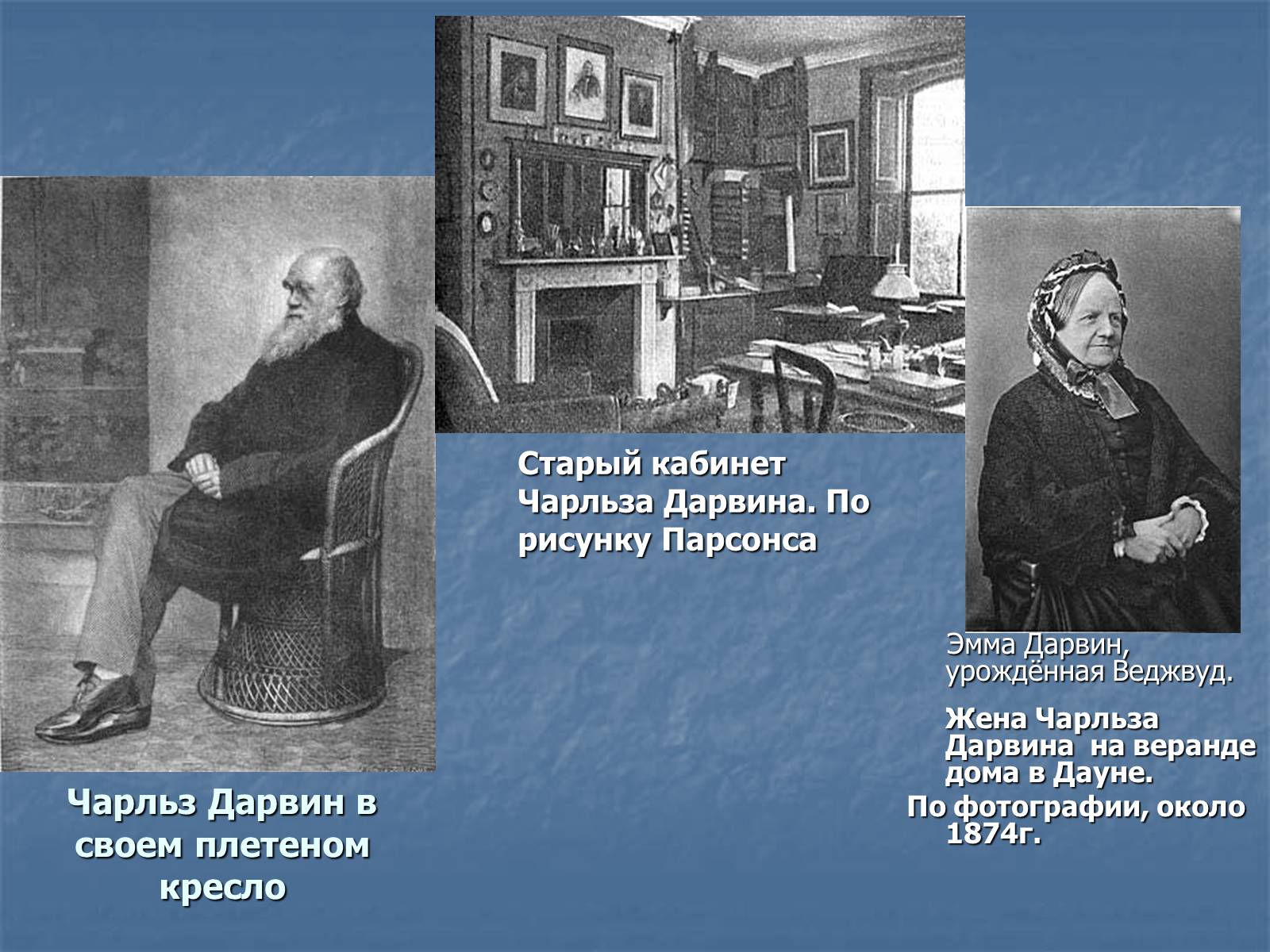 Презентація на тему «Дарвин» - Слайд #10 Презентація на тему «Дарвин» - Слайд #10