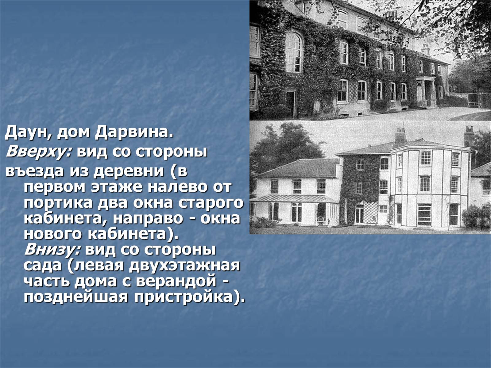 Презентація на тему «Дарвин» - Слайд #9 Презентація на тему «Дарвин» - Слайд #9