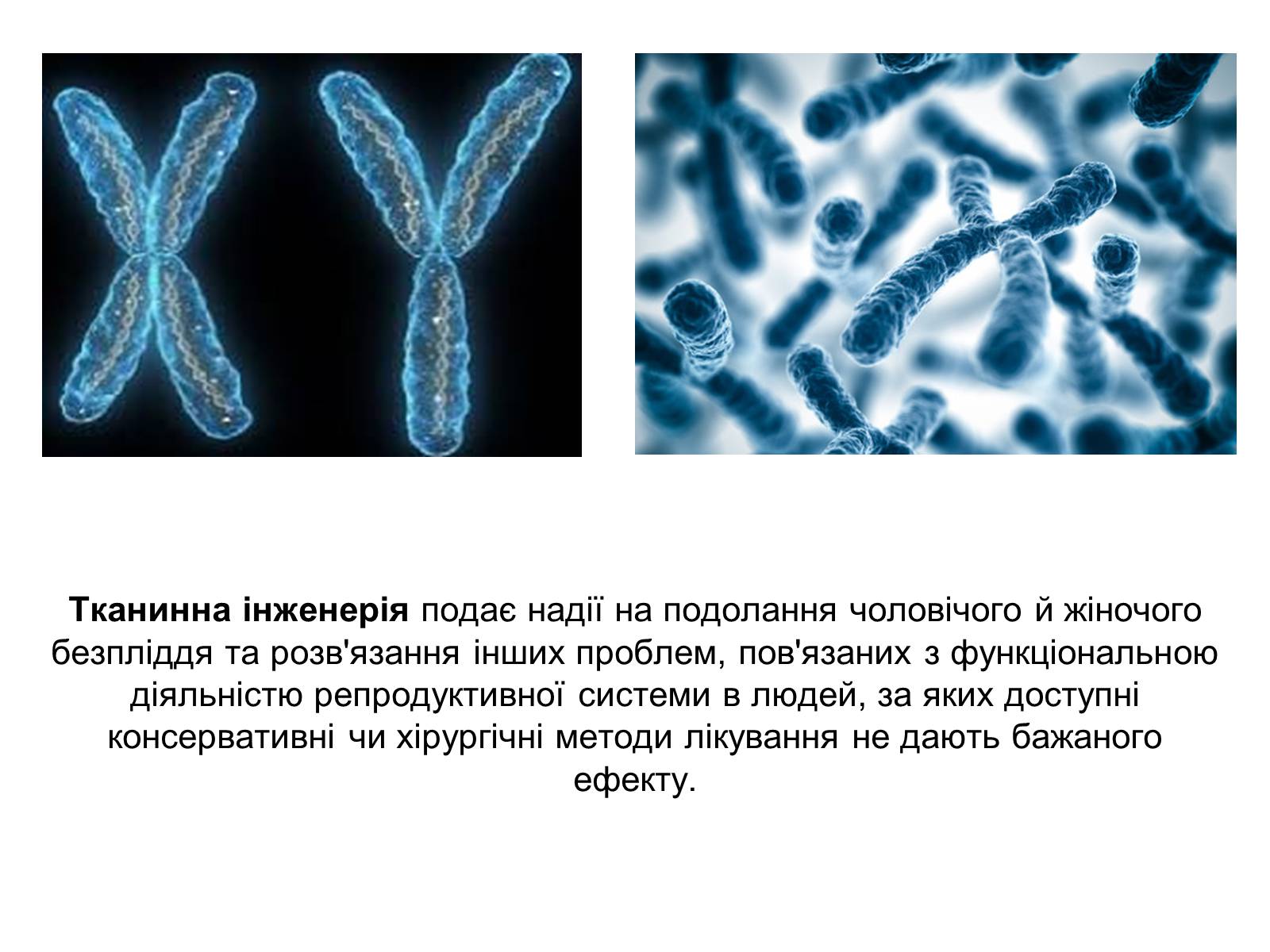 Презентація на тему «Гістотехнологія» - Слайд #10 Презентація на тему «Гістотехнологія» - Слайд #10