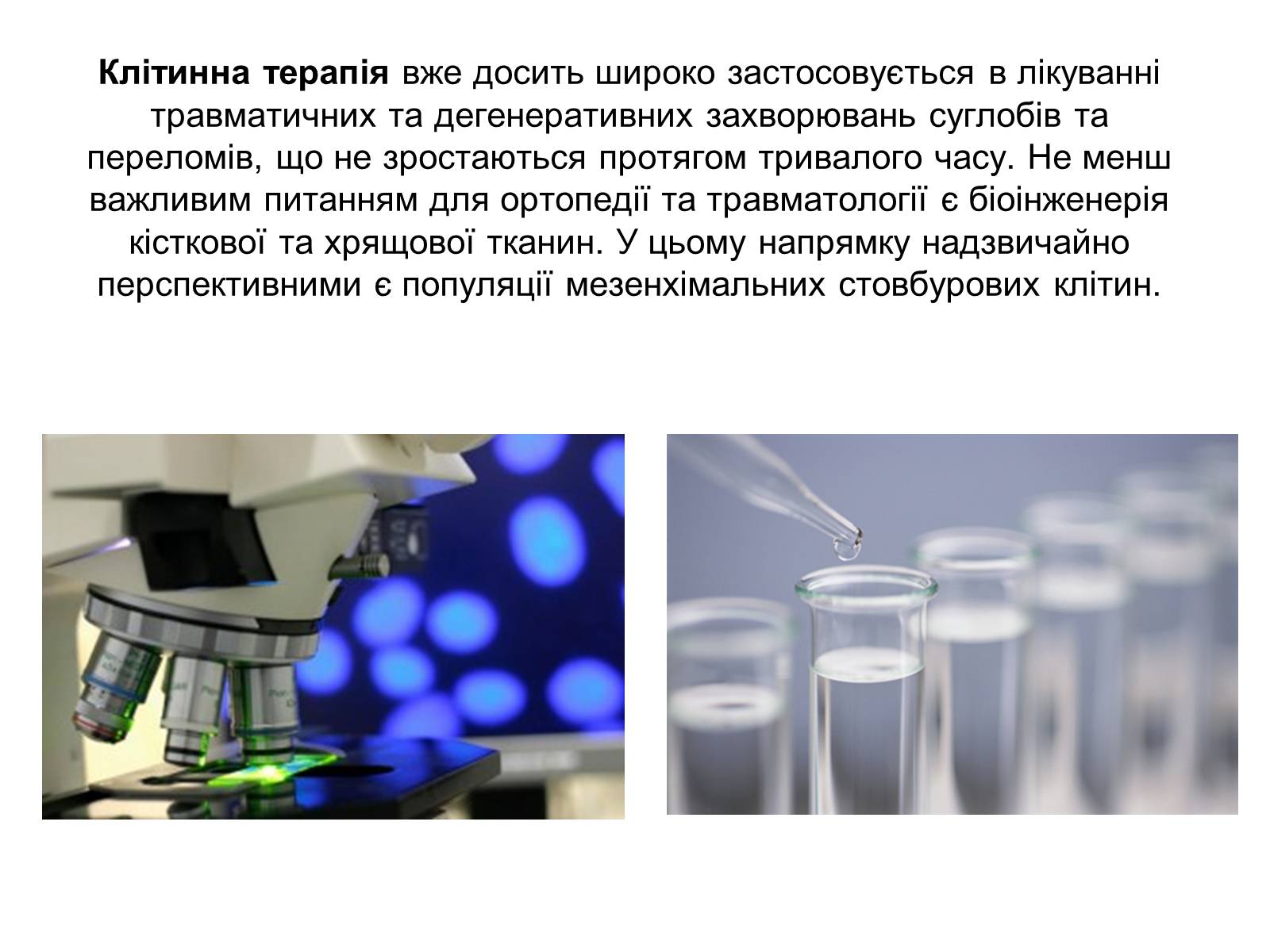 Презентація на тему «Гістотехнологія» - Слайд #11 Презентація на тему «Гістотехнологія» - Слайд #11