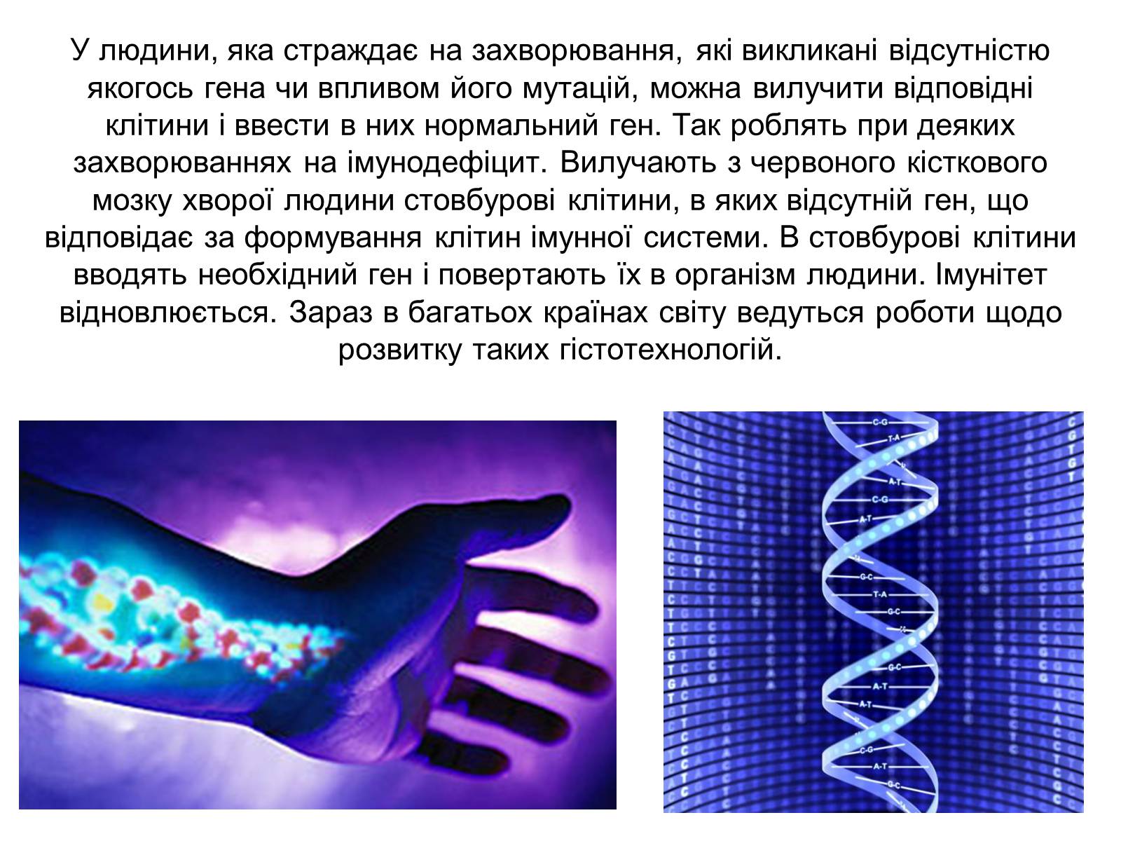 Презентація на тему «Гістотехнологія» - Слайд #12 Презентація на тему «Гістотехнологія» - Слайд #12