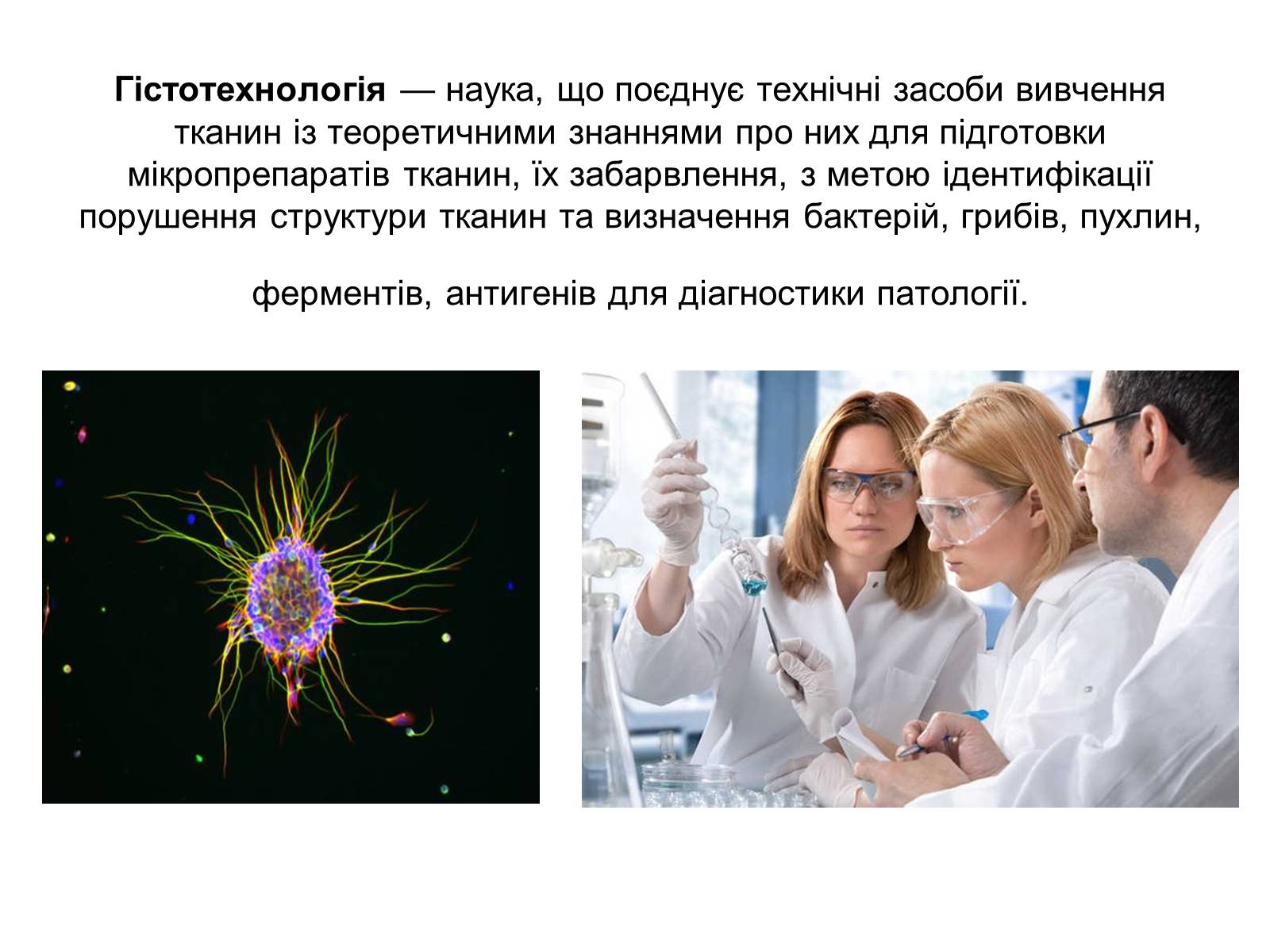 Презентація на тему «Гістотехнологія» - Слайд #2 Презентація на тему «Гістотехнологія» - Слайд #2