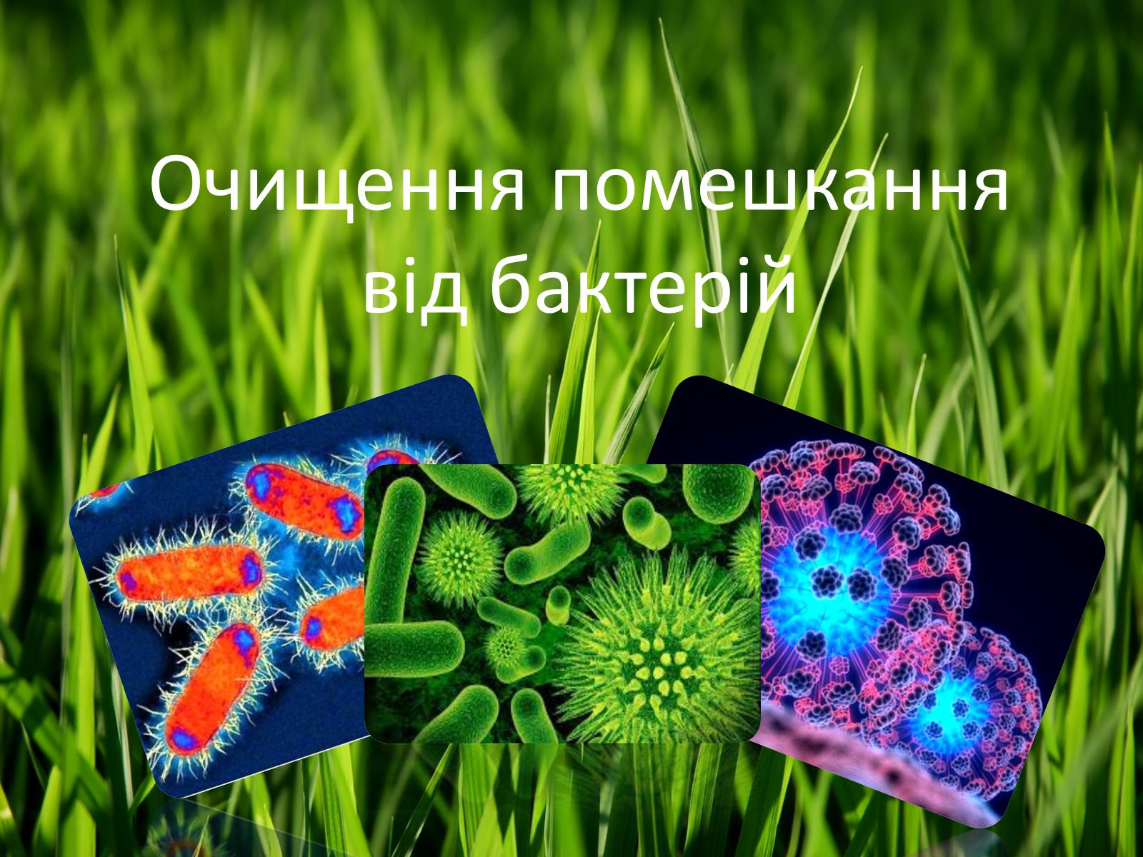 Презентація на тему «Очищення помешкання від бактерій» - Слайд #1 Презентація на тему «Очищення помешкання від бактерій» - Слайд #1