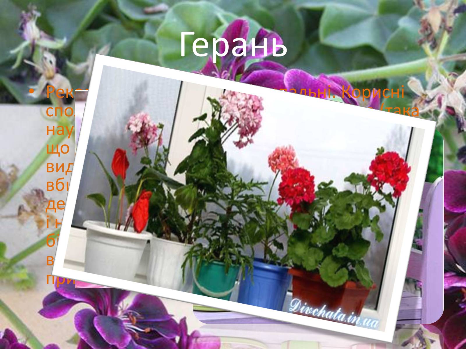 Презентація на тему «Очищення помешкання від бактерій» - Слайд #7 Презентація на тему «Очищення помешкання від бактерій» - Слайд #7