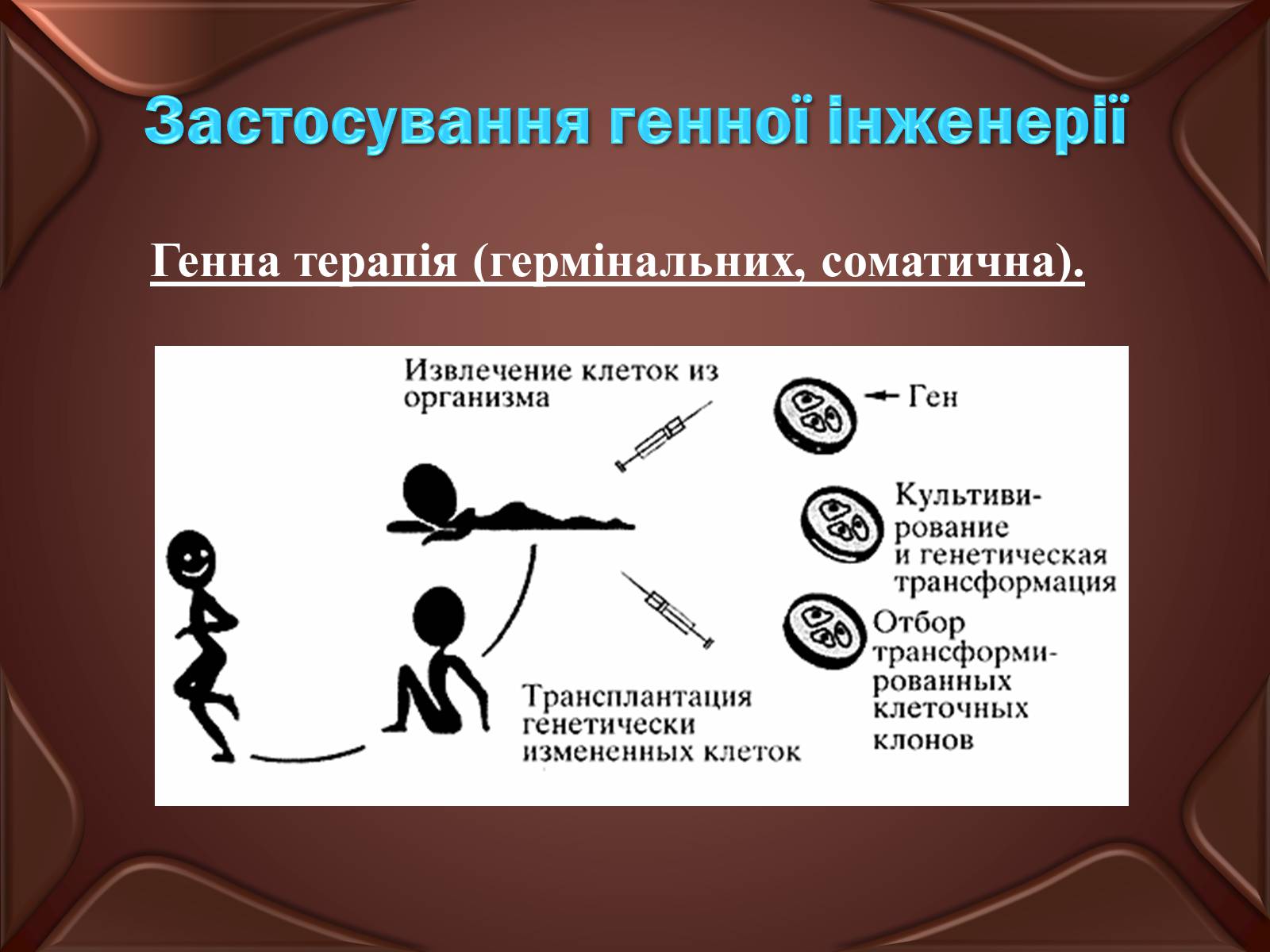 Презентація на тему «Основні положення ті досягнення біотехнологій» - Слайд #10 Презентація на тему «Основні положення ті досягнення біотехнологій» - Слайд #10
