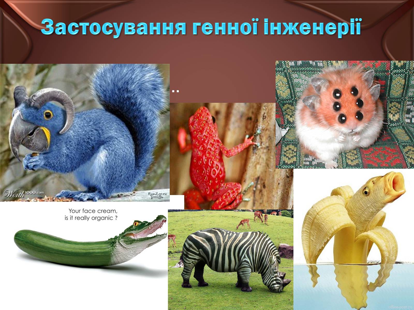 Презентація на тему «Основні положення ті досягнення біотехнологій» - Слайд #12 Презентація на тему «Основні положення ті досягнення біотехнологій» - Слайд #12