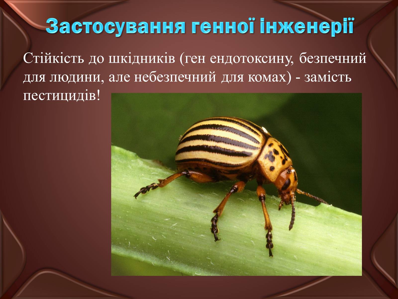 Презентація на тему «Основні положення ті досягнення біотехнологій» - Слайд #6 Презентація на тему «Основні положення ті досягнення біотехнологій» - Слайд #6