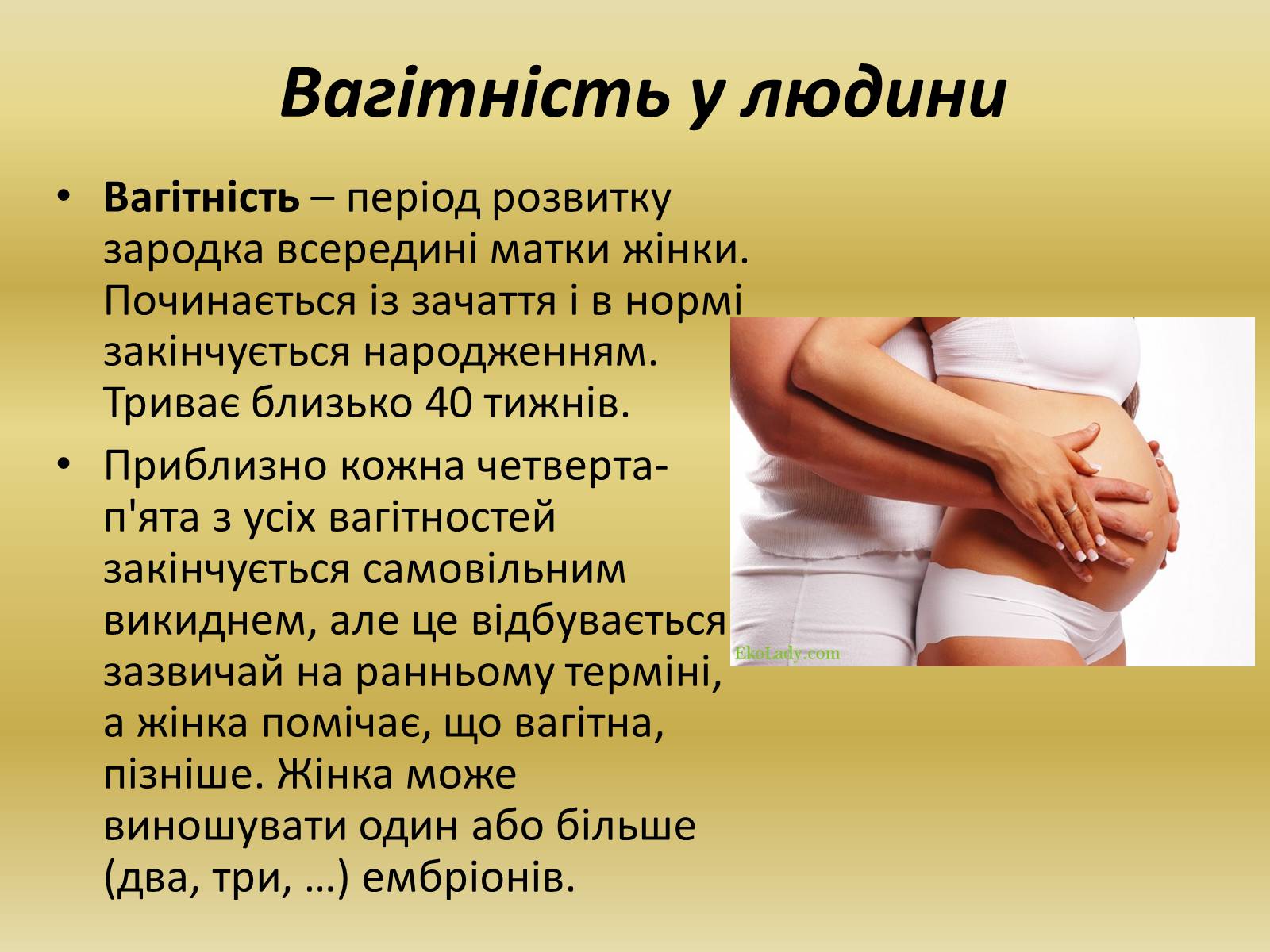 Презентація на тему «Розмноження та розвиток людини» (варіант 1) - Слайд #2 Презентація на тему «Розмноження та розвиток людини» (варіант 1) - Слайд #2