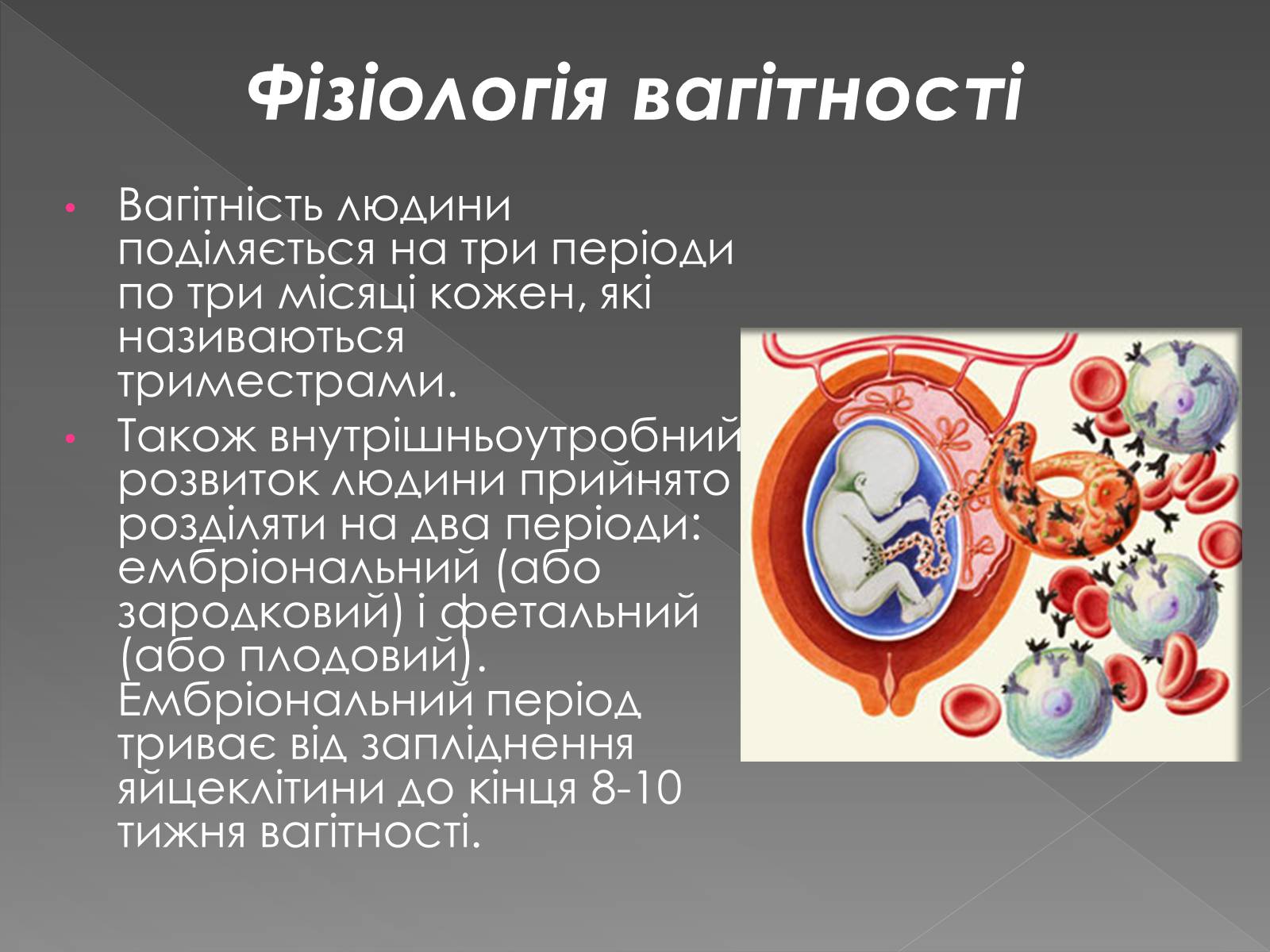Презентація на тему «Розмноження та розвиток людини» (варіант 1) - Слайд #9 Презентація на тему «Розмноження та розвиток людини» (варіант 1) - Слайд #9