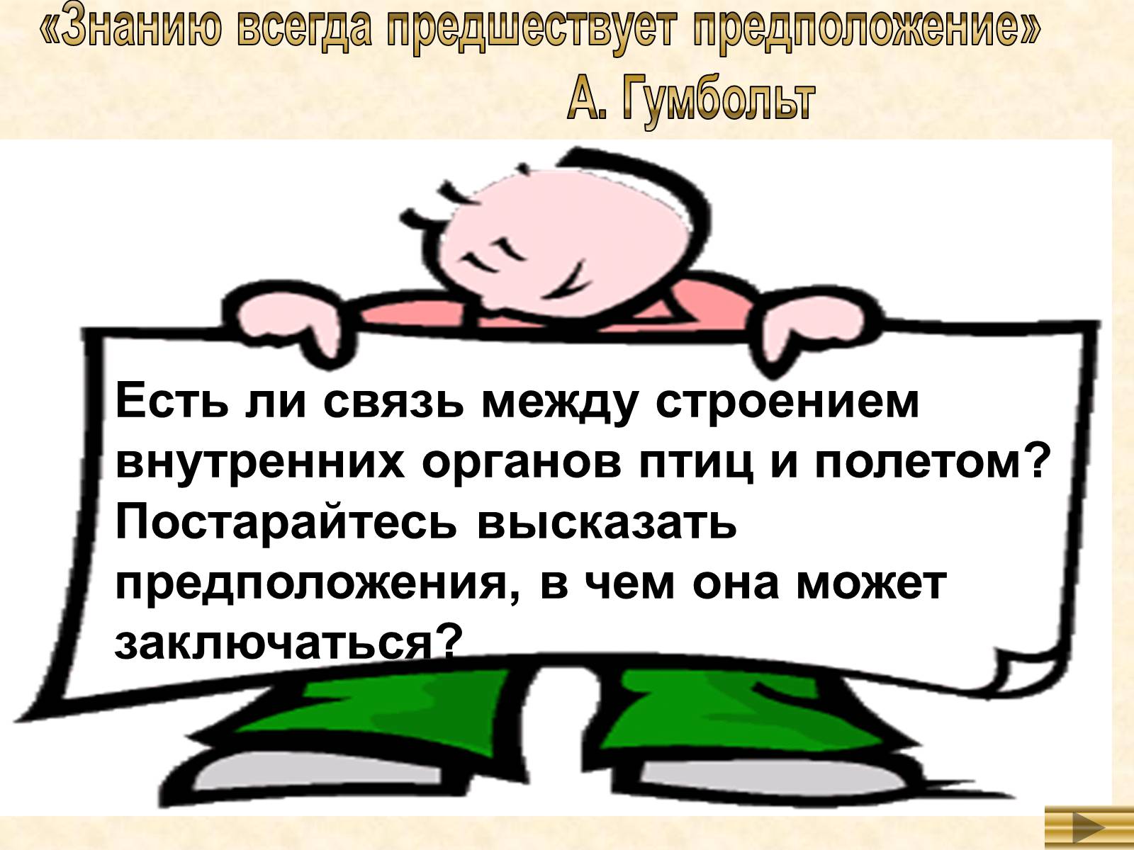 Презентація на тему «Особенности внутреннего строенияптиц в связи с полетом» - Слайд #3 Презентація на тему «Особенности внутреннего строенияптиц в связи с полетом» - Слайд #3