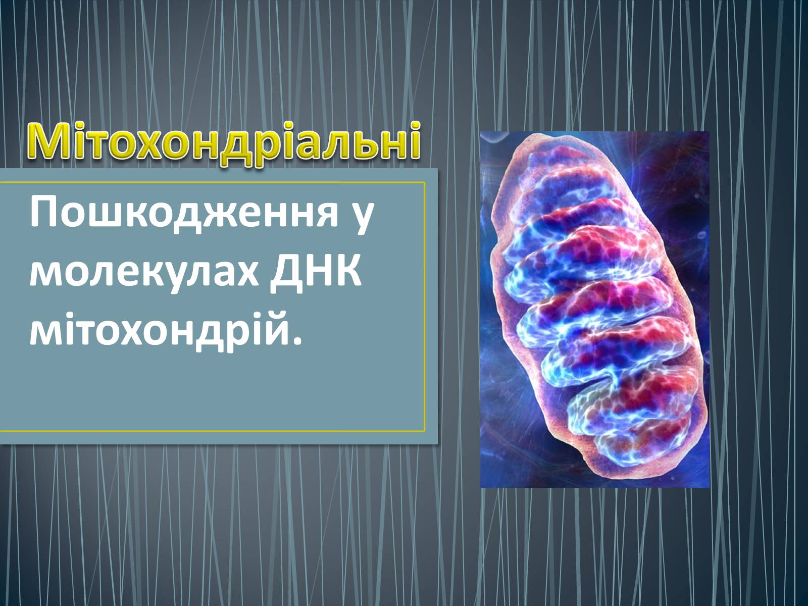 Презентація на тему «Типи генетичних хвороб людини» (варіант 2) - Слайд #21 Презентація на тему «Типи генетичних хвороб людини» (варіант 2) - Слайд #21