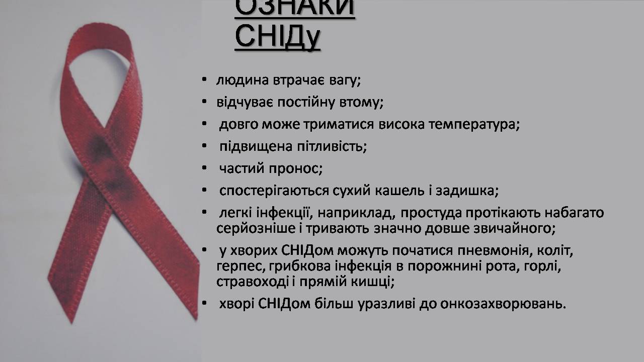 Презентація на тему «Снід» (варіант 19) - Слайд #4 Презентація на тему «Снід» (варіант 19) - Слайд #4