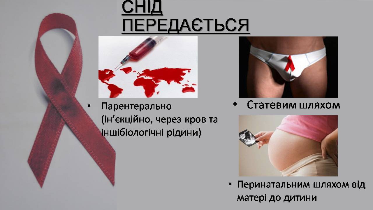 Презентація на тему «Снід» (варіант 19) - Слайд #6 Презентація на тему «Снід» (варіант 19) - Слайд #6