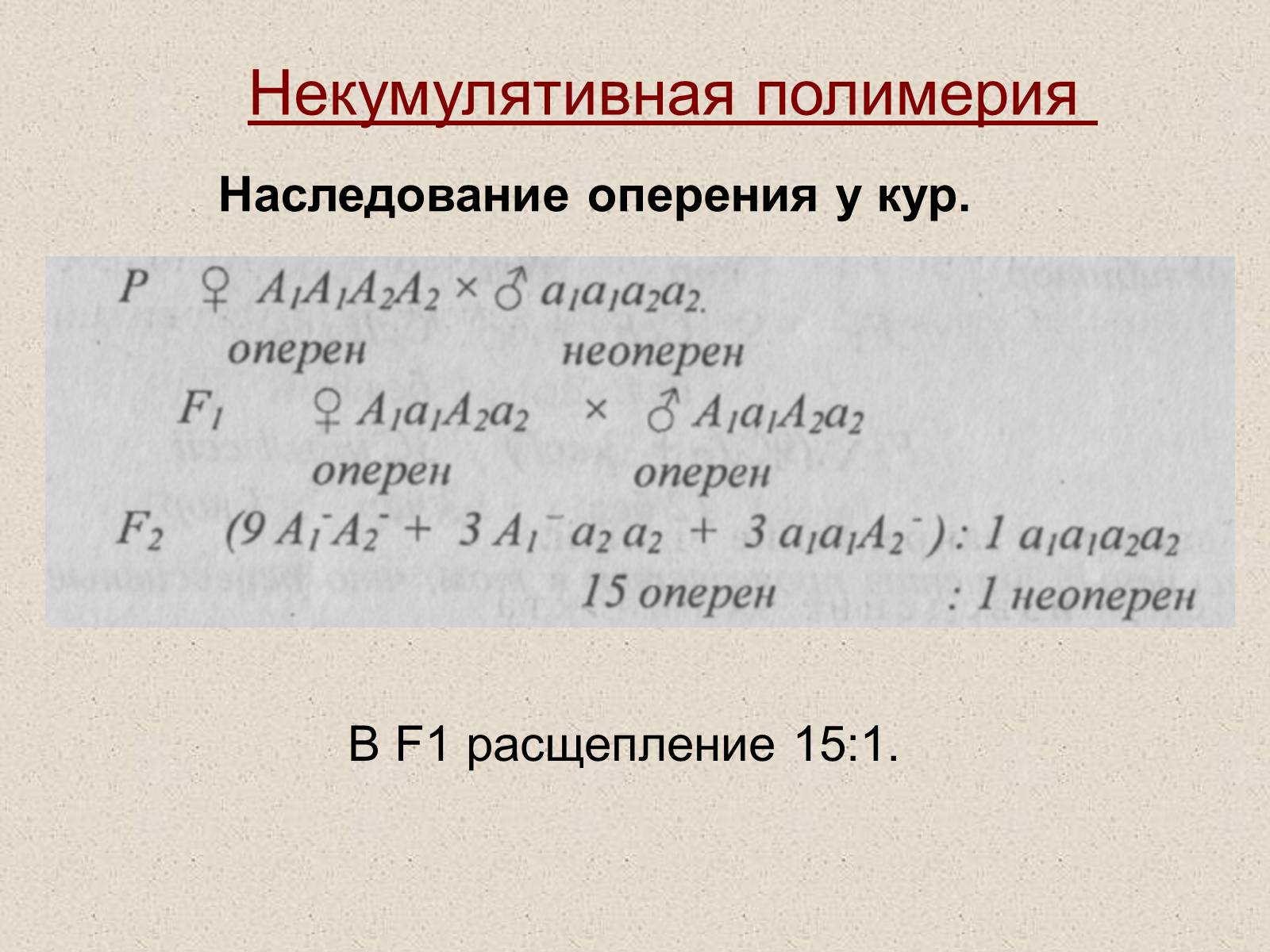 Презентація на тему «Взаимодействие неаллельных генов» - Слайд #12 Презентація на тему «Взаимодействие неаллельных генов» - Слайд #12