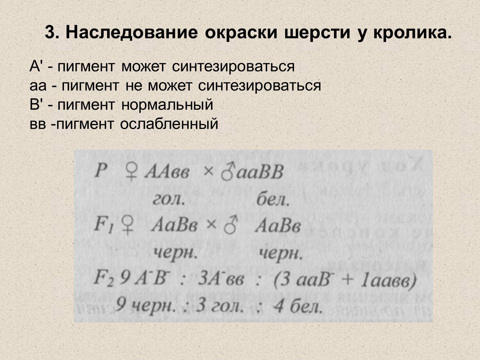 Презентація на тему «Взаимодействие неаллельных генов» - Слайд #4 Презентація на тему «Взаимодействие неаллельных генов» - Слайд #4