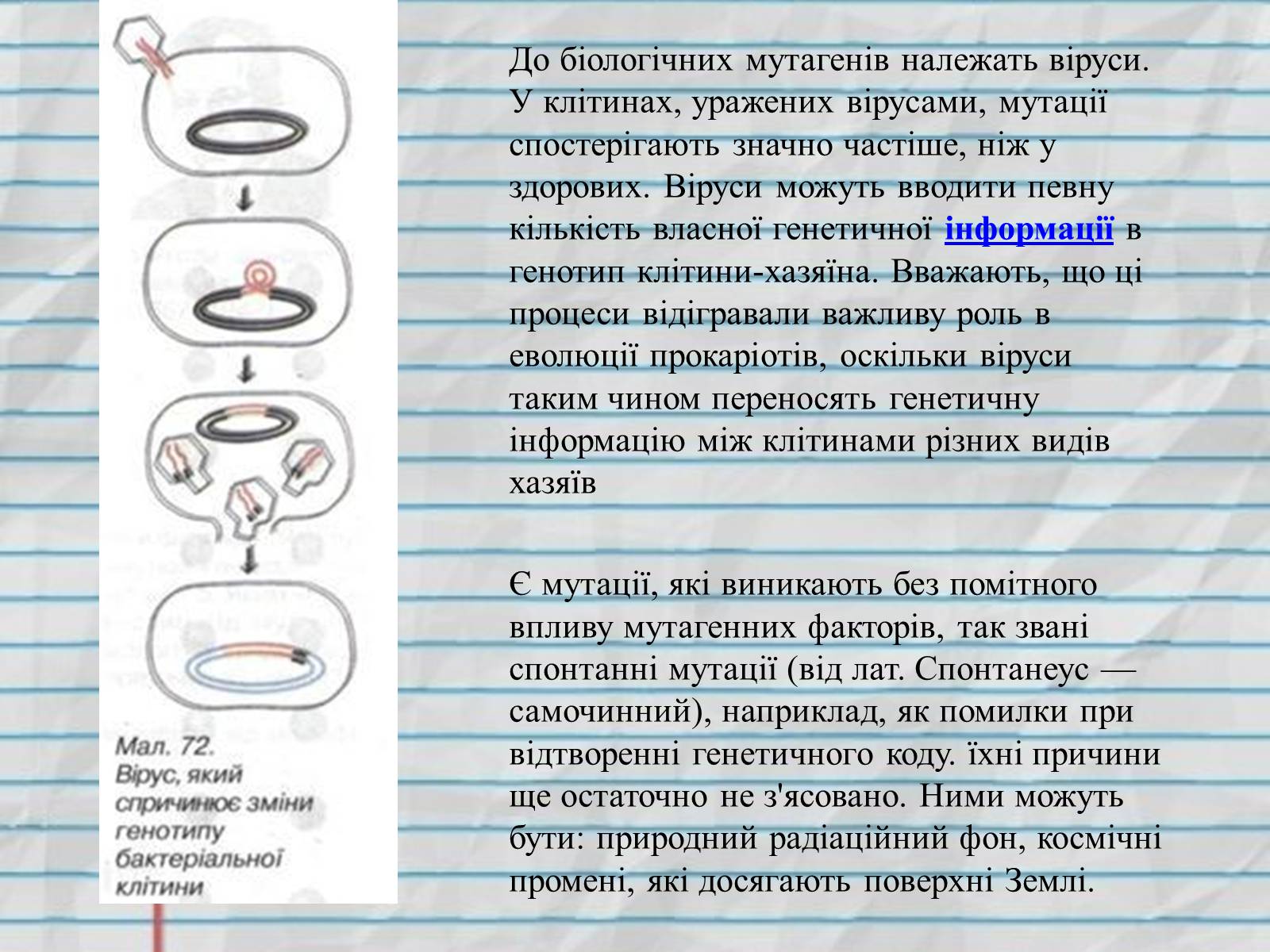 Презентація на тему «Причини мутацій» (варіант 1) - Слайд #5 Презентація на тему «Причини мутацій» (варіант 1) - Слайд #5