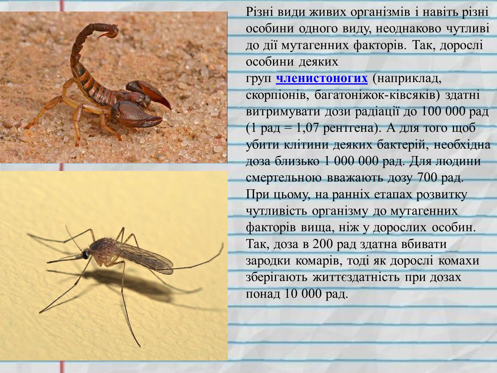 Презентація на тему «Причини мутацій» (варіант 1) - Слайд #7 Презентація на тему «Причини мутацій» (варіант 1) - Слайд #7