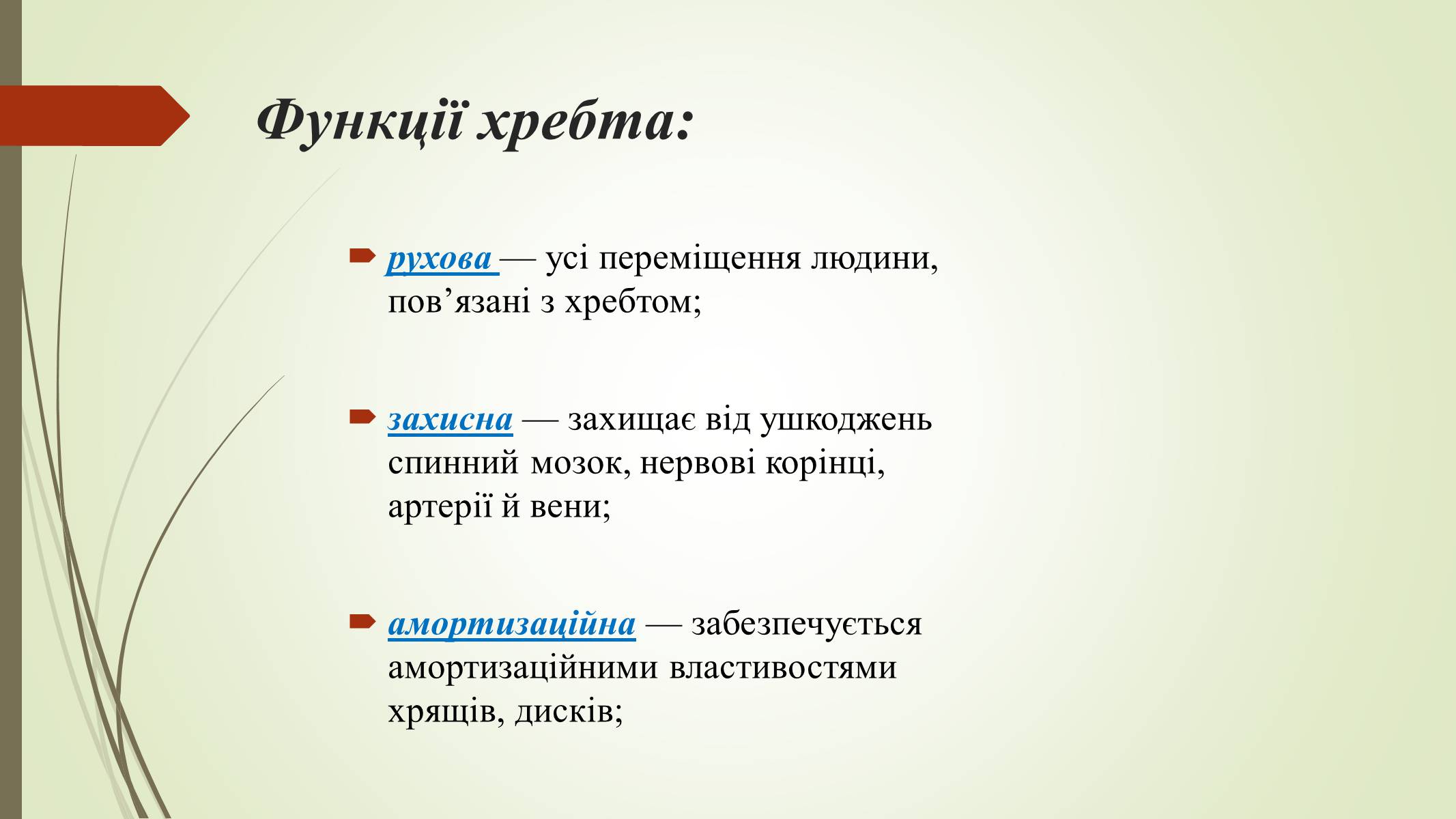 Презентація на тему «Хребет і здоров’я» - Слайд #8 Презентація на тему «Хребет і здоров’я» - Слайд #8