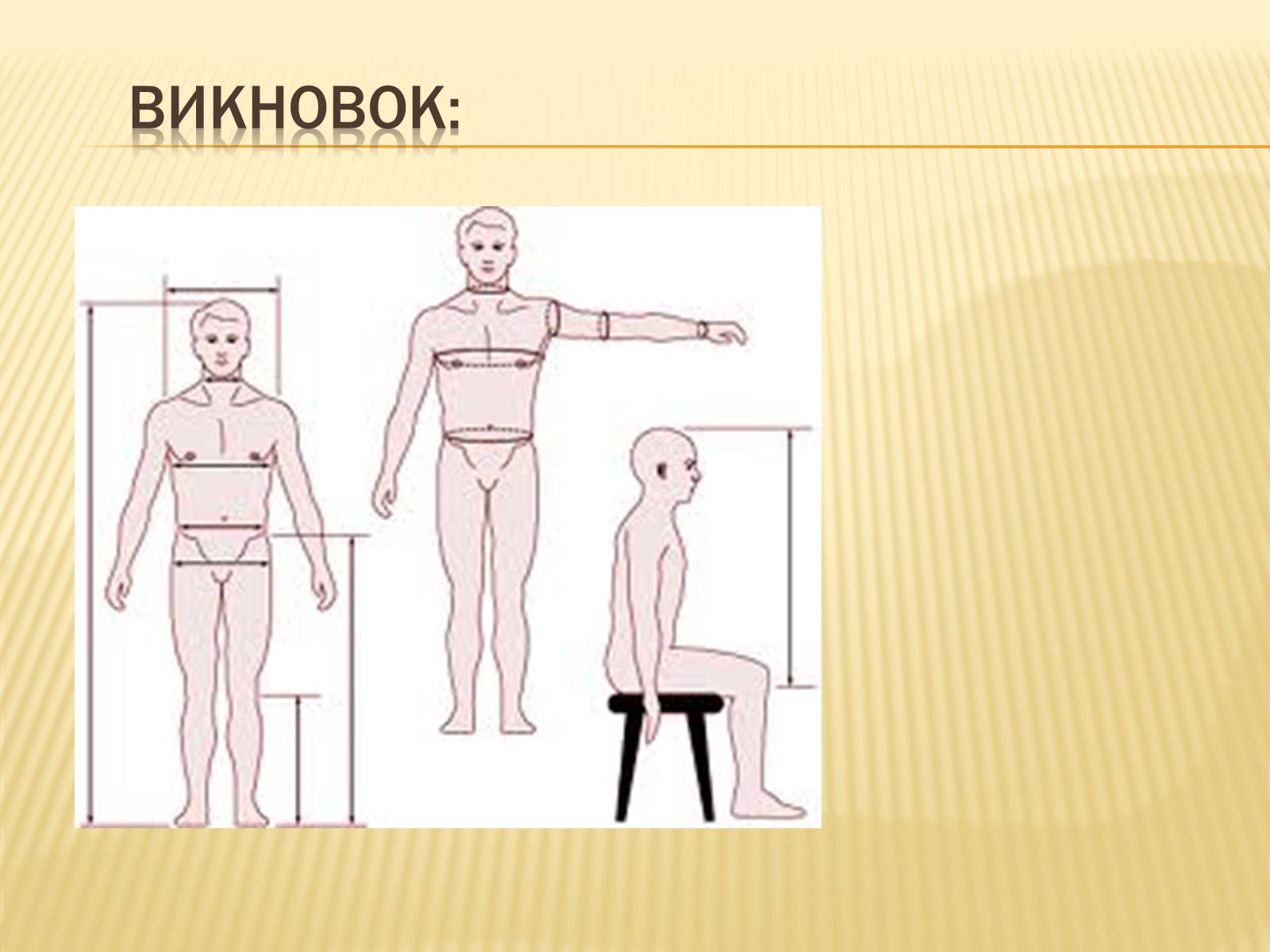 Презентація на тему «Анторопометрія» - Слайд #13 Презентація на тему «Анторопометрія» - Слайд #13