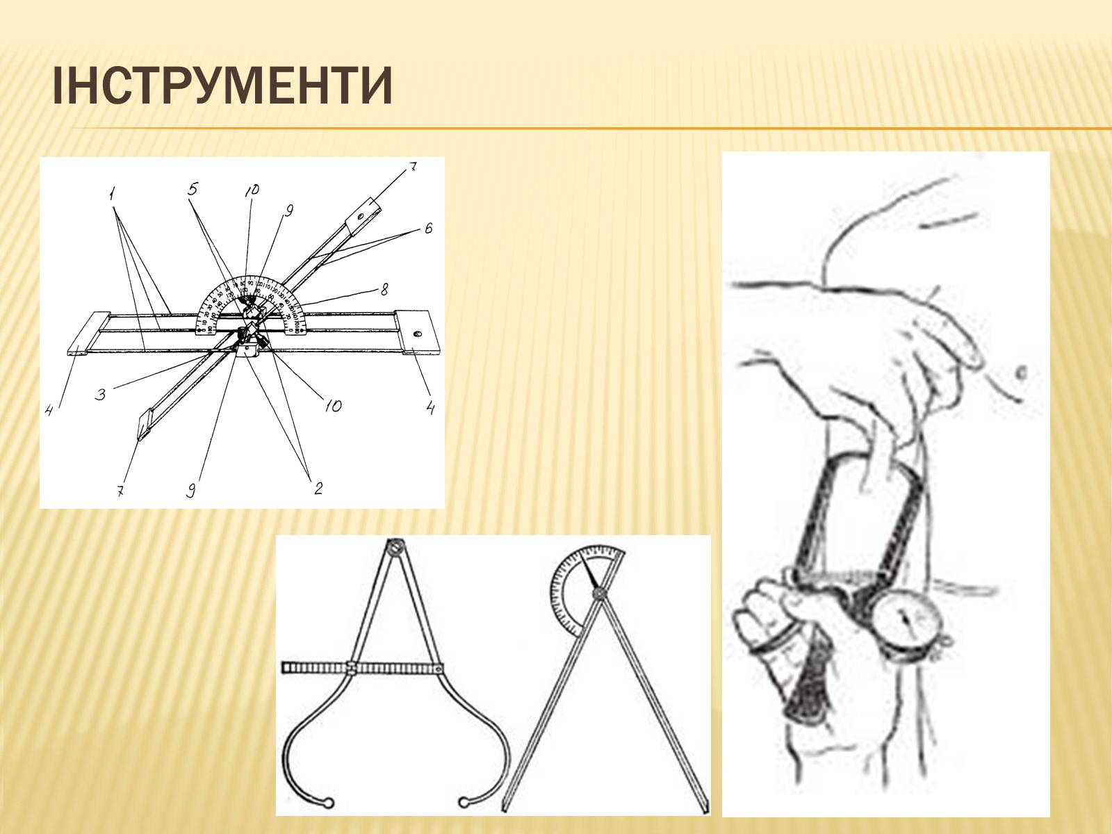 Презентація на тему «Анторопометрія» - Слайд #3 Презентація на тему «Анторопометрія» - Слайд #3