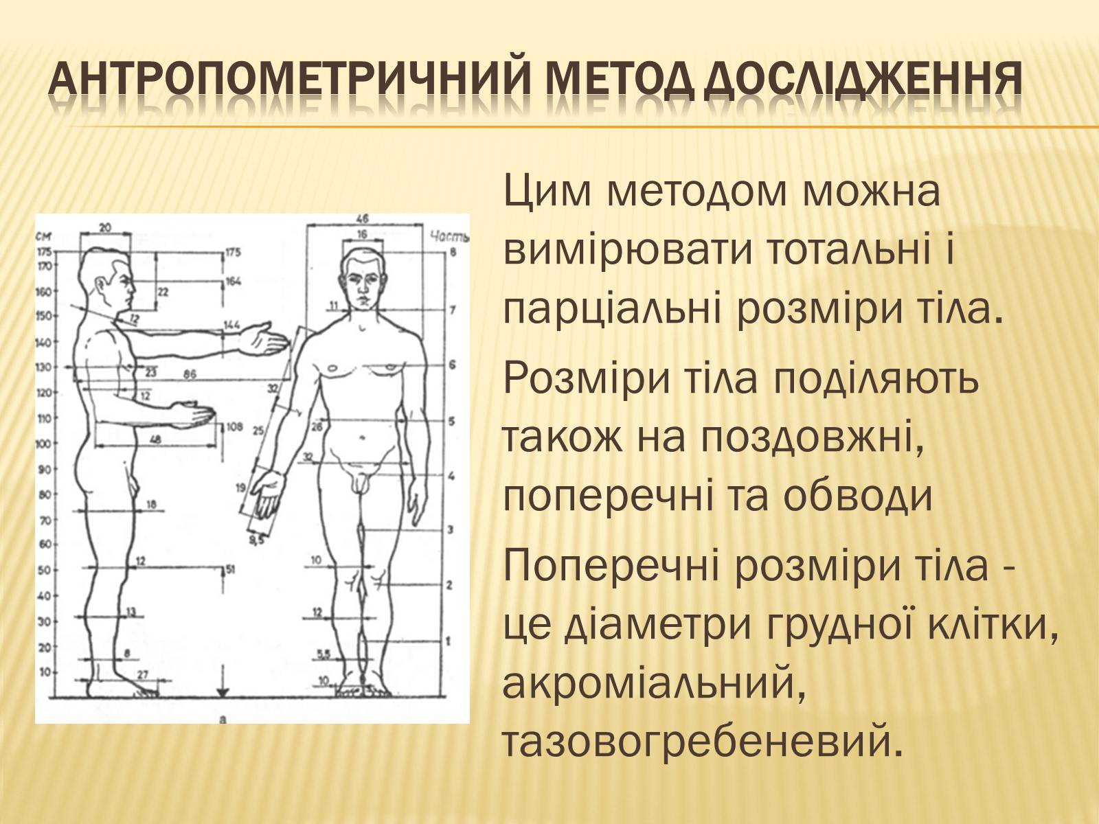 Презентація на тему «Анторопометрія» - Слайд #9 Презентація на тему «Анторопометрія» - Слайд #9