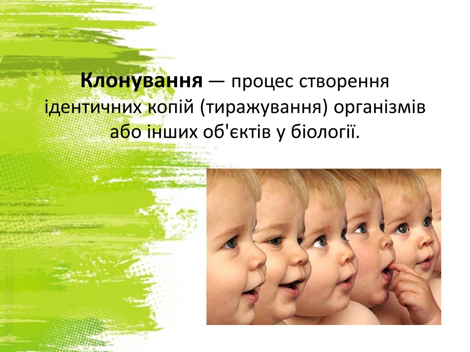 Презентація на тему «Клонування» (варіант 12) - Слайд #2 Презентація на тему «Клонування» (варіант 12) - Слайд #2