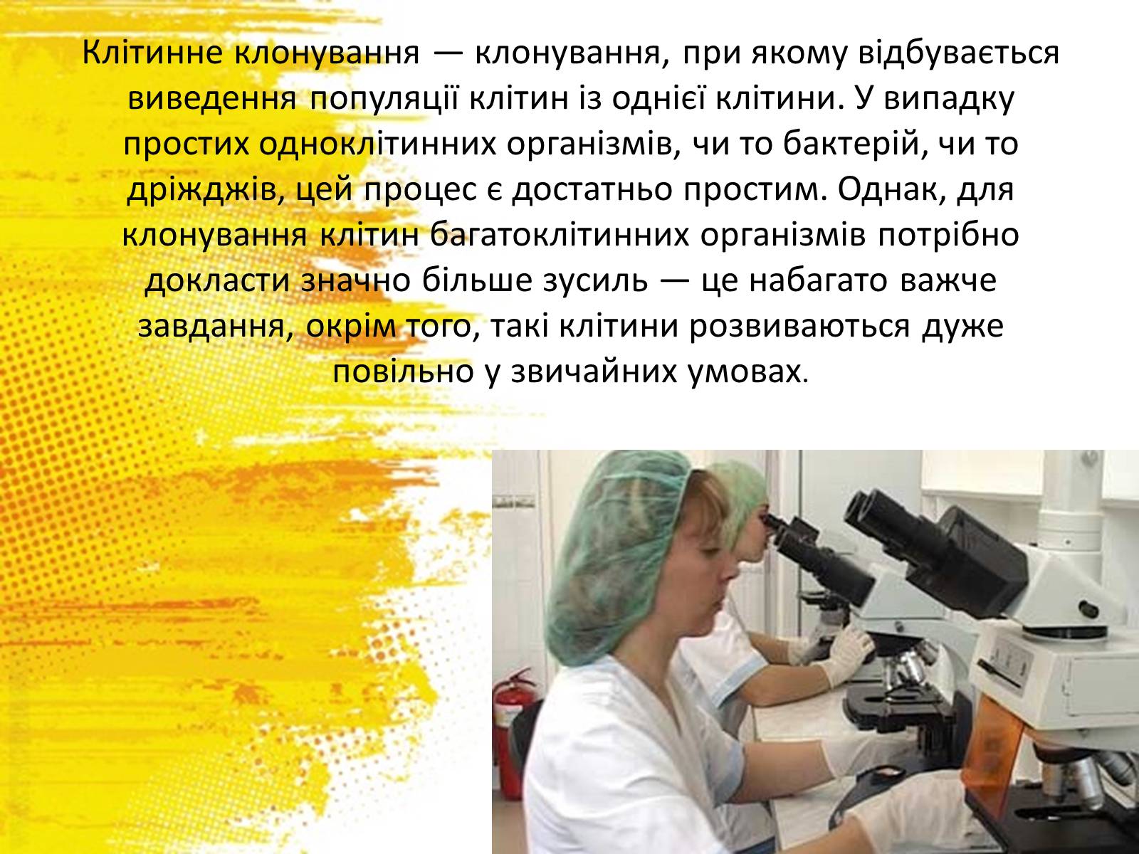 Презентація на тему «Клонування» (варіант 12) - Слайд #3 Презентація на тему «Клонування» (варіант 12) - Слайд #3