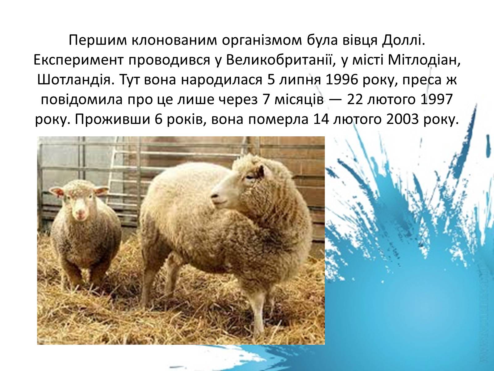 Презентація на тему «Клонування» (варіант 12) - Слайд #9 Презентація на тему «Клонування» (варіант 12) - Слайд #9