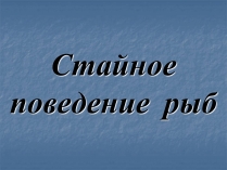 Презентація на тему «Стайное поведение рыб»
