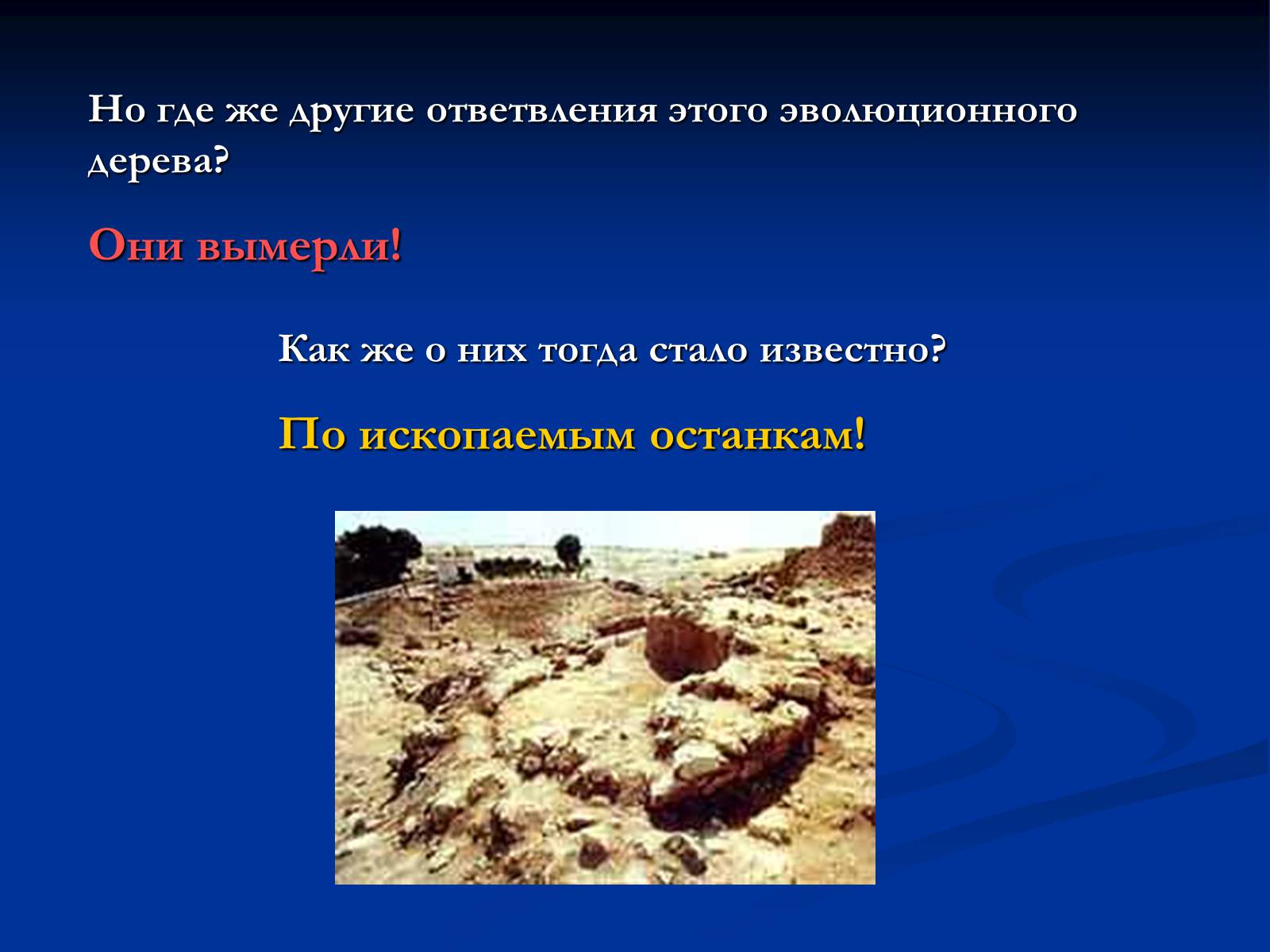 Презентація на тему «Антропогенез» (варіант 1) - Слайд #5 Презентація на тему «Антропогенез» (варіант 1) - Слайд #5