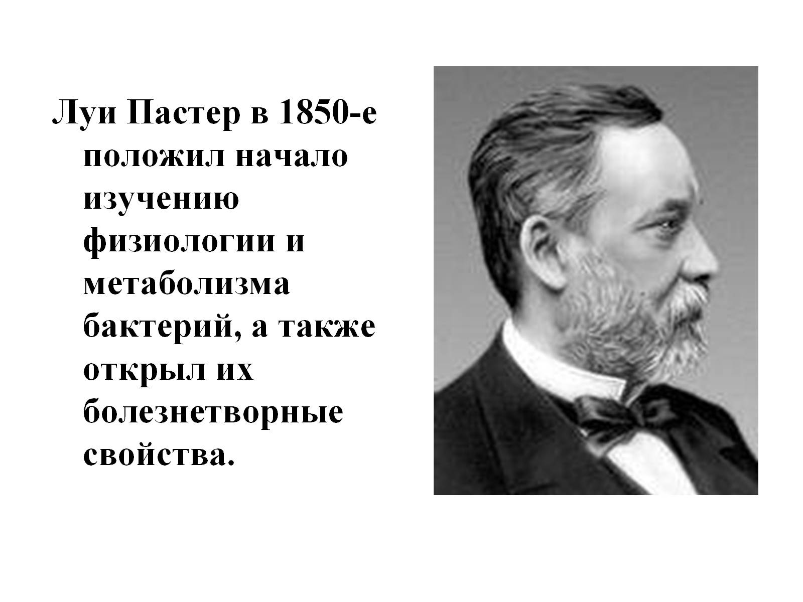 Презентація на тему «Бактерии» - Слайд #10 Презентація на тему «Бактерии» - Слайд #10