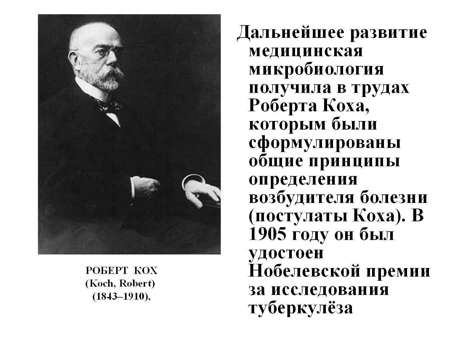 Презентація на тему «Бактерии» - Слайд #11 Презентація на тему «Бактерии» - Слайд #11