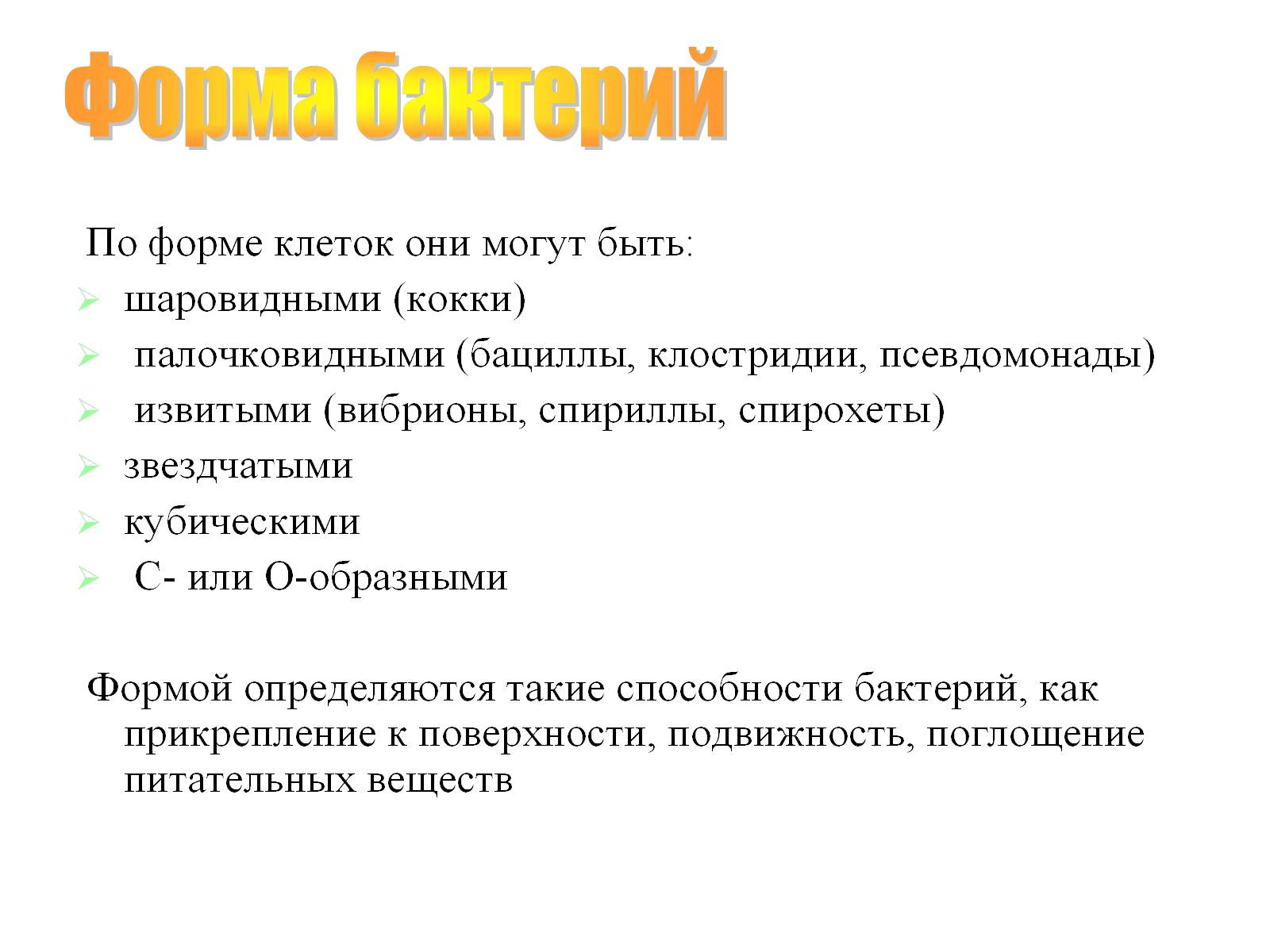 Презентація на тему «Бактерии» - Слайд #13 Презентація на тему «Бактерии» - Слайд #13