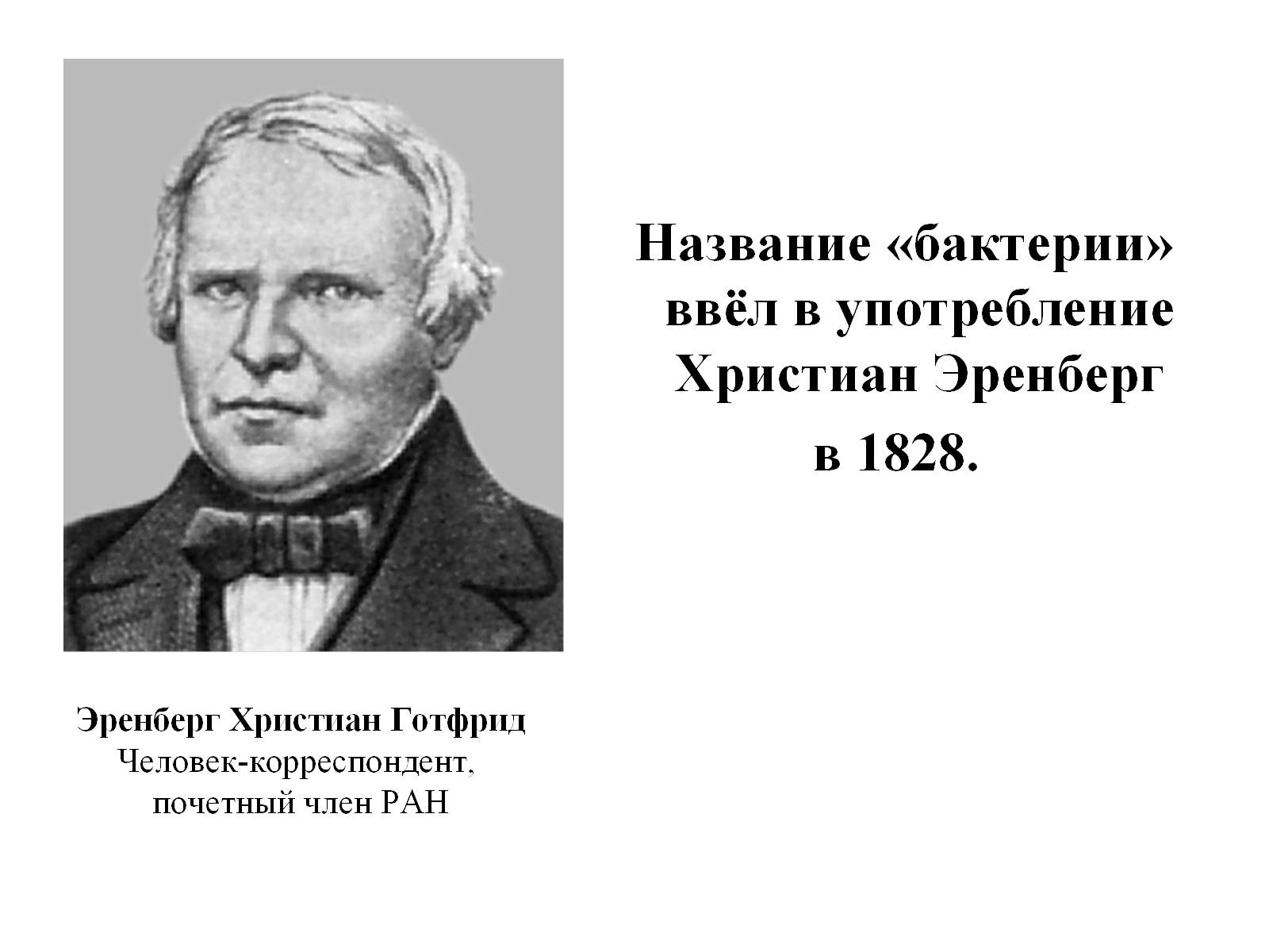 Презентація на тему «Бактерии» - Слайд #9 Презентація на тему «Бактерии» - Слайд #9