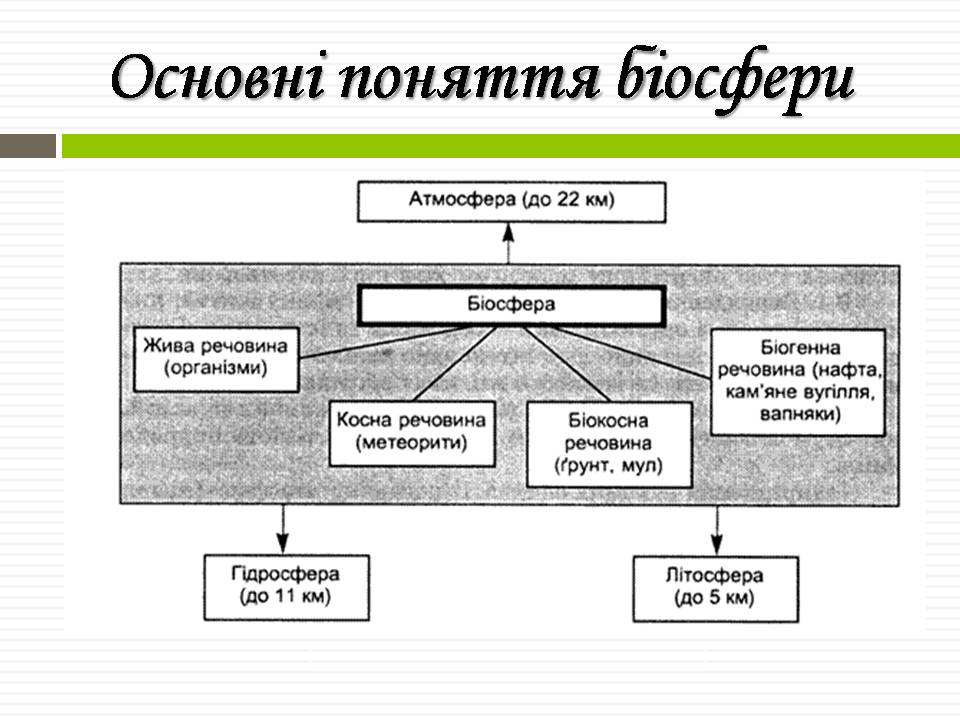Презентація на тему «Біосфера» (варіант 11) - Слайд #12 Презентація на тему «Біосфера» (варіант 11) - Слайд #12
