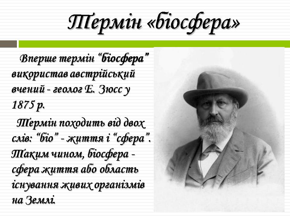 Презентація на тему «Біосфера» (варіант 11) - Слайд #5 Презентація на тему «Біосфера» (варіант 11) - Слайд #5