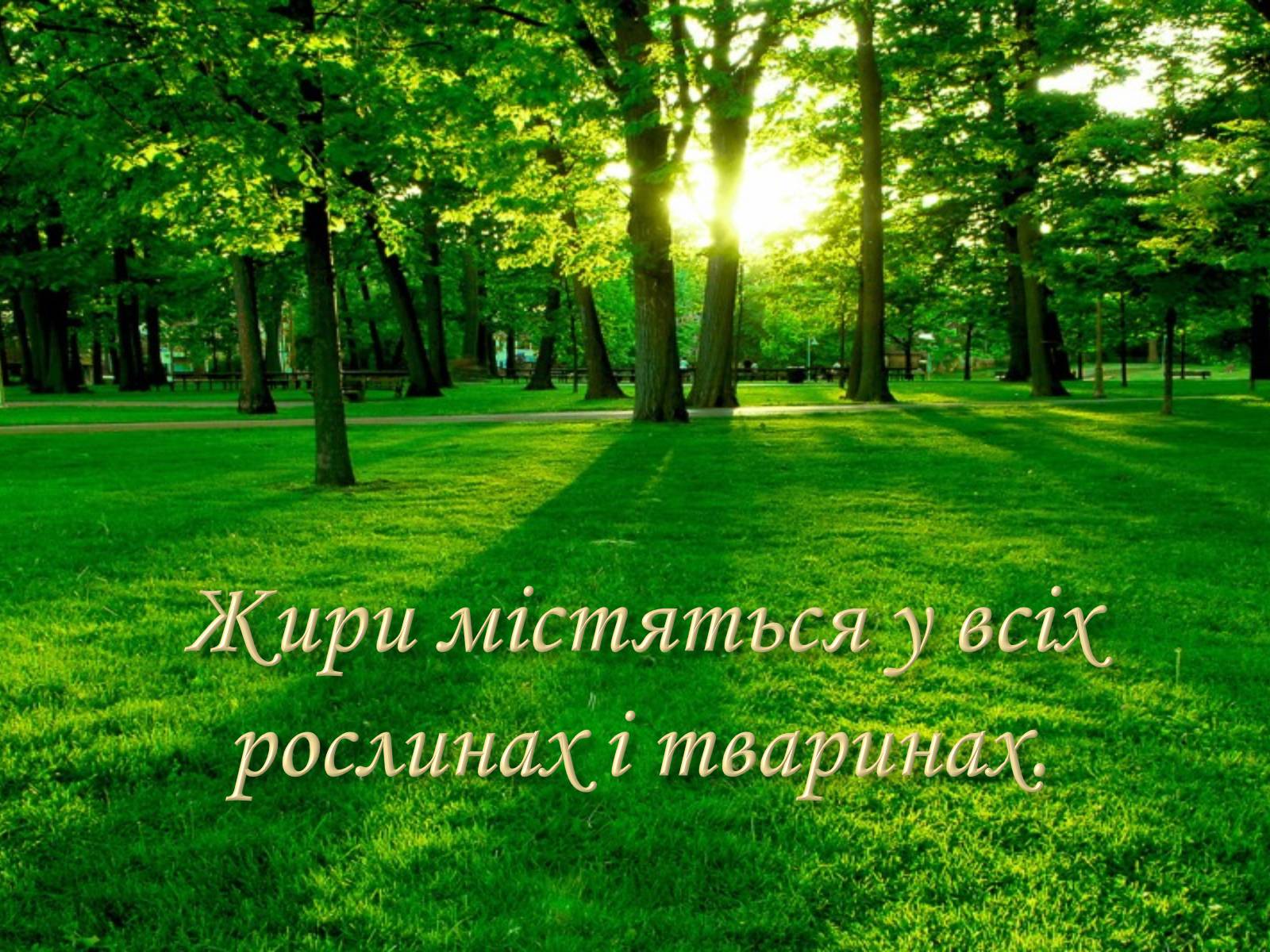 Презентація на тему «Жири. Склад жирів» - Слайд #16 Презентація на тему «Жири. Склад жирів» - Слайд #16