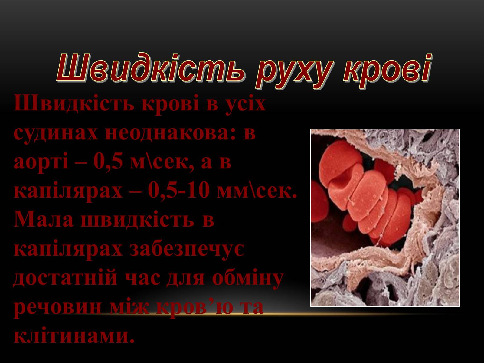 Презентація на тему «Кровообіг і лімфообіг людини» - Слайд #14 Презентація на тему «Кровообіг і лімфообіг людини» - Слайд #14