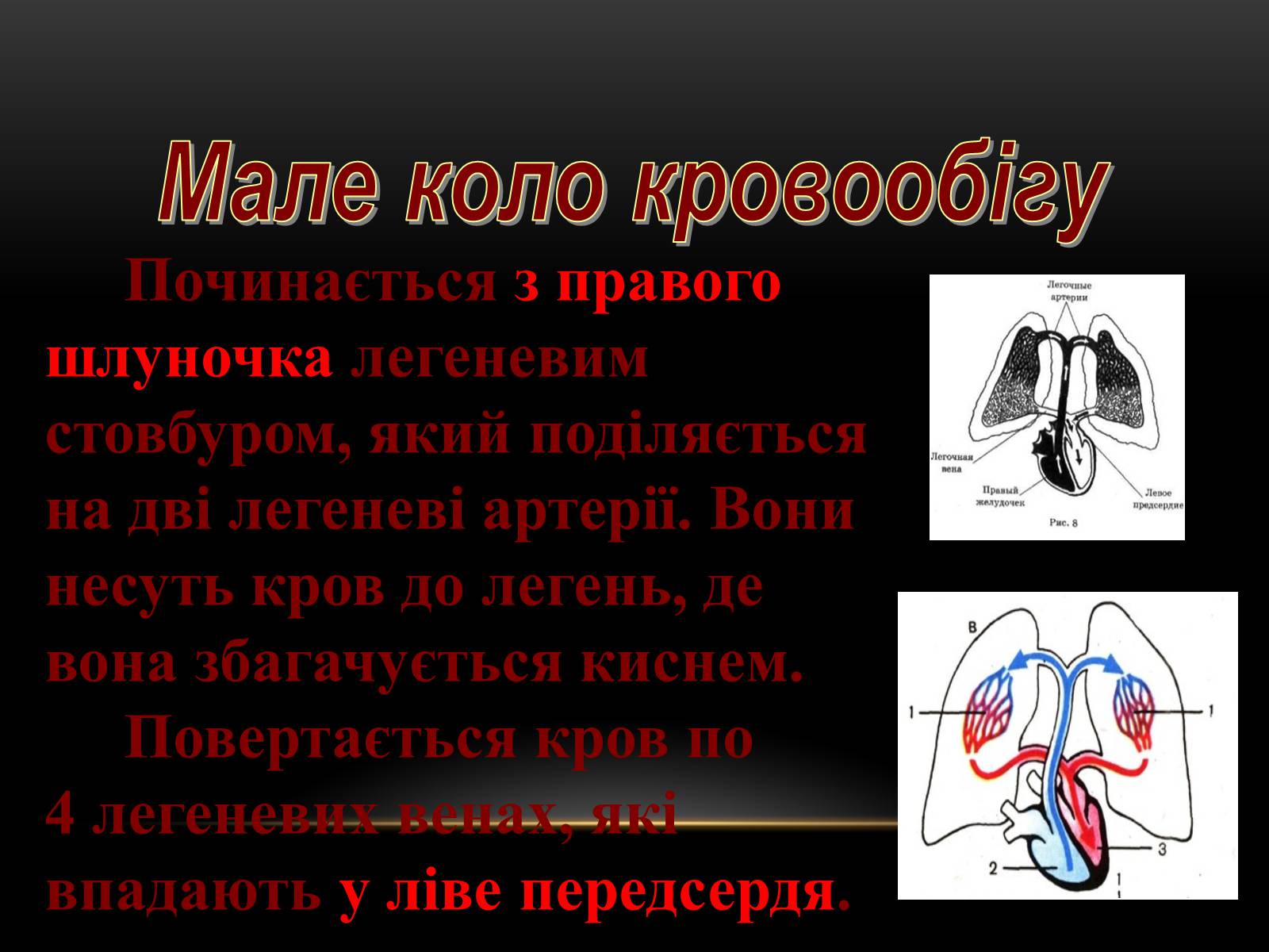 Презентація на тему «Кровообіг і лімфообіг людини» - Слайд #7 Презентація на тему «Кровообіг і лімфообіг людини» - Слайд #7