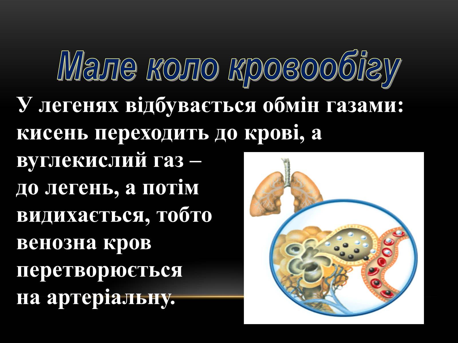 Презентація на тему «Кровообіг і лімфообіг людини» - Слайд #8 Презентація на тему «Кровообіг і лімфообіг людини» - Слайд #8