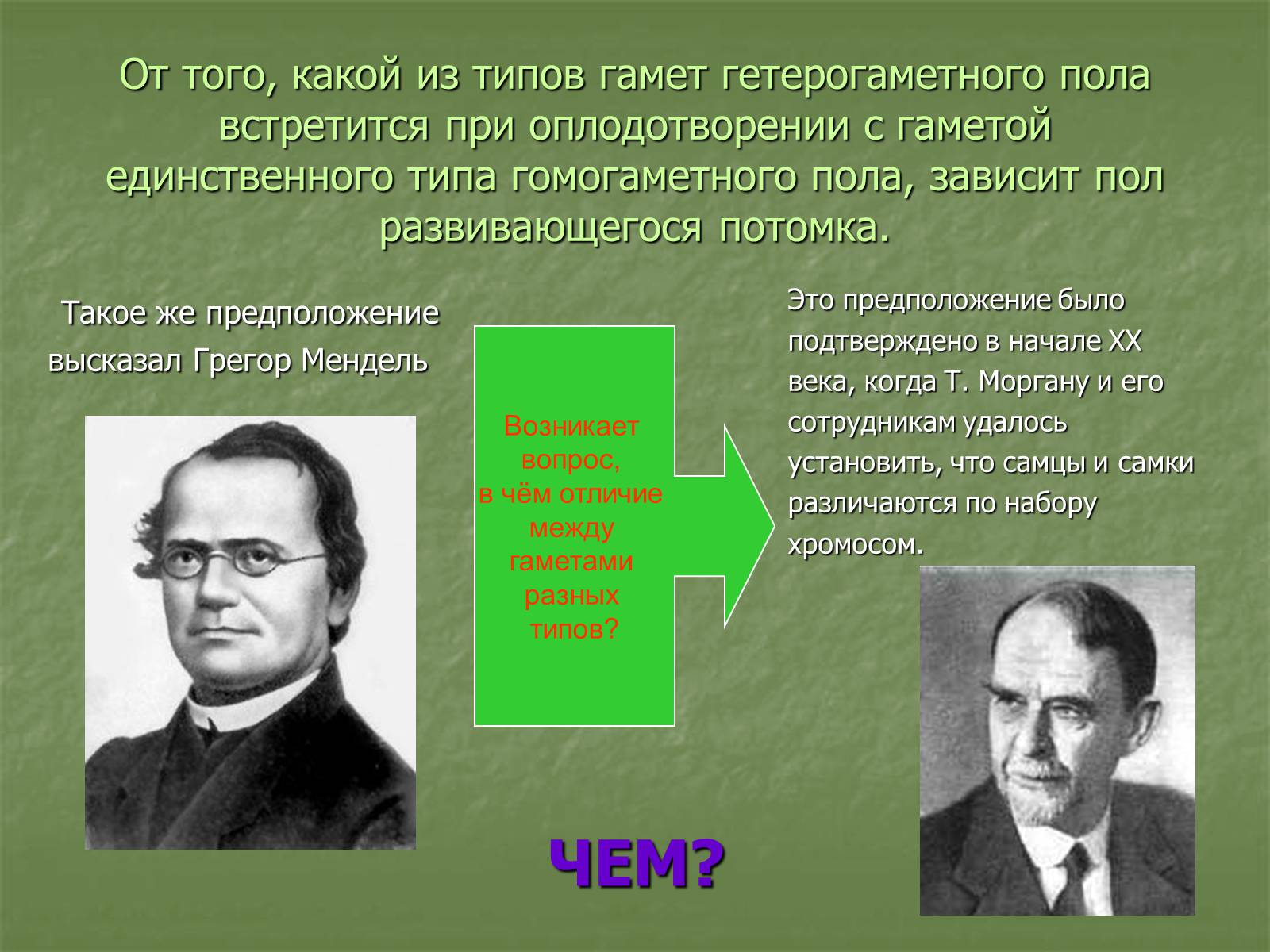 Презентація на тему «Генетика пола» - Слайд #6 Презентація на тему «Генетика пола» - Слайд #6